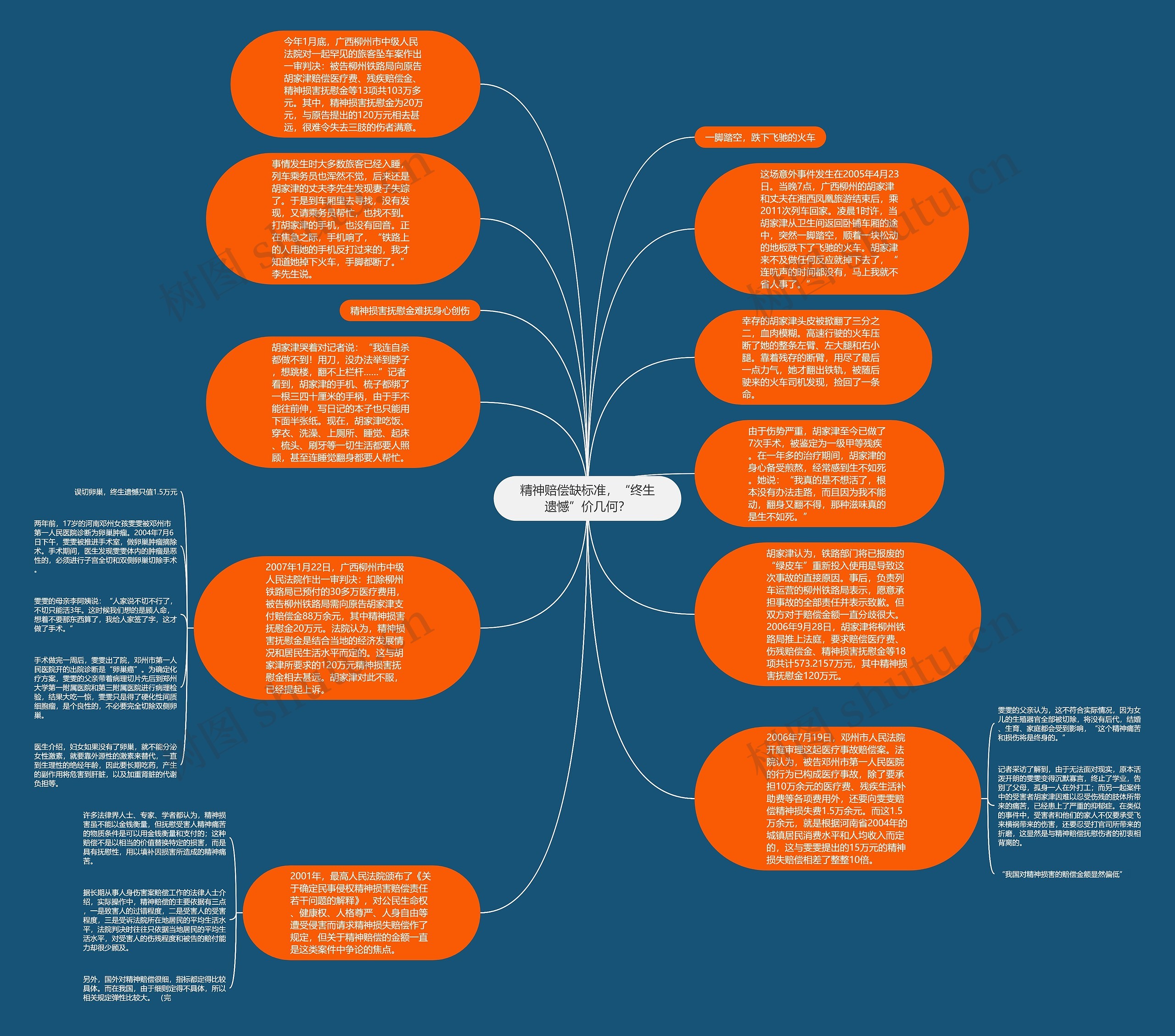 精神赔偿缺标准，“终生遗憾”价几何？思维导图