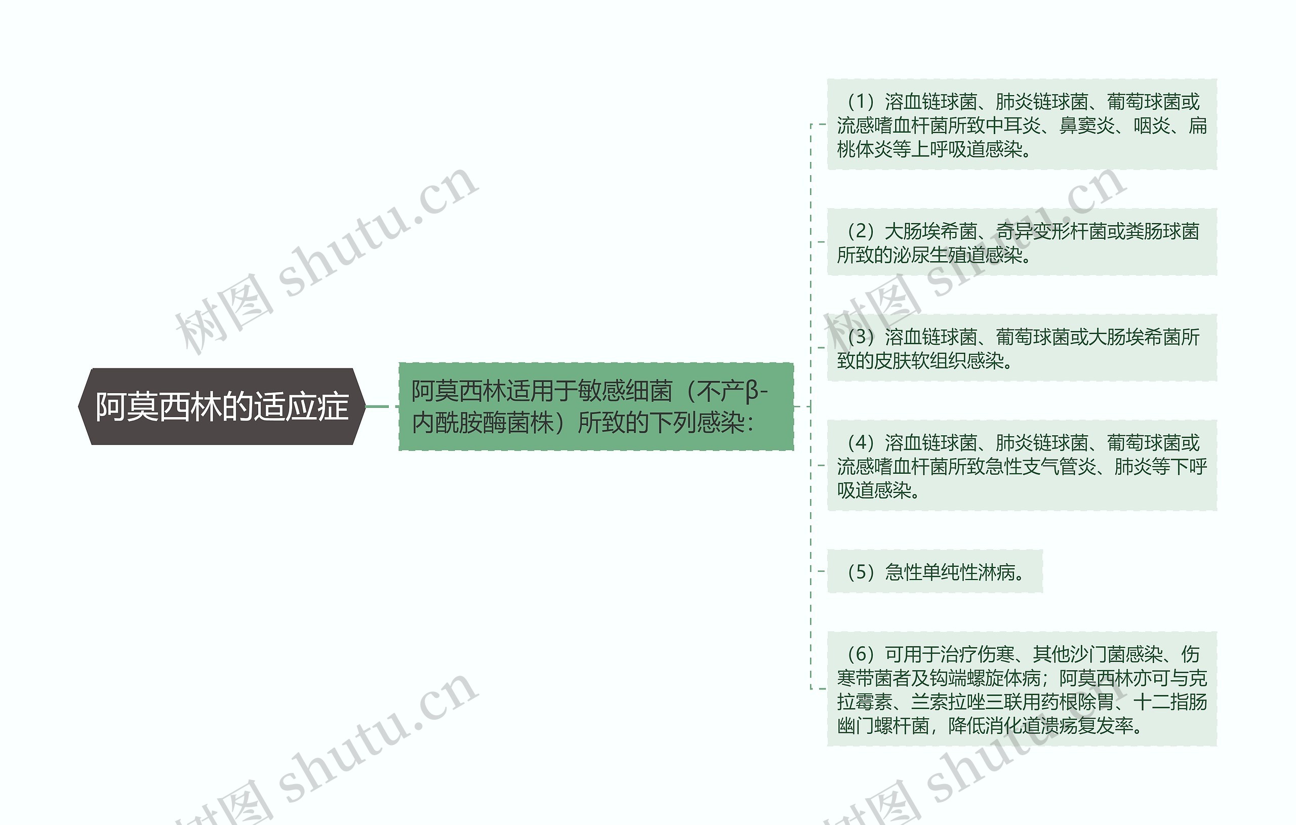 阿莫西林的适应症思维导图