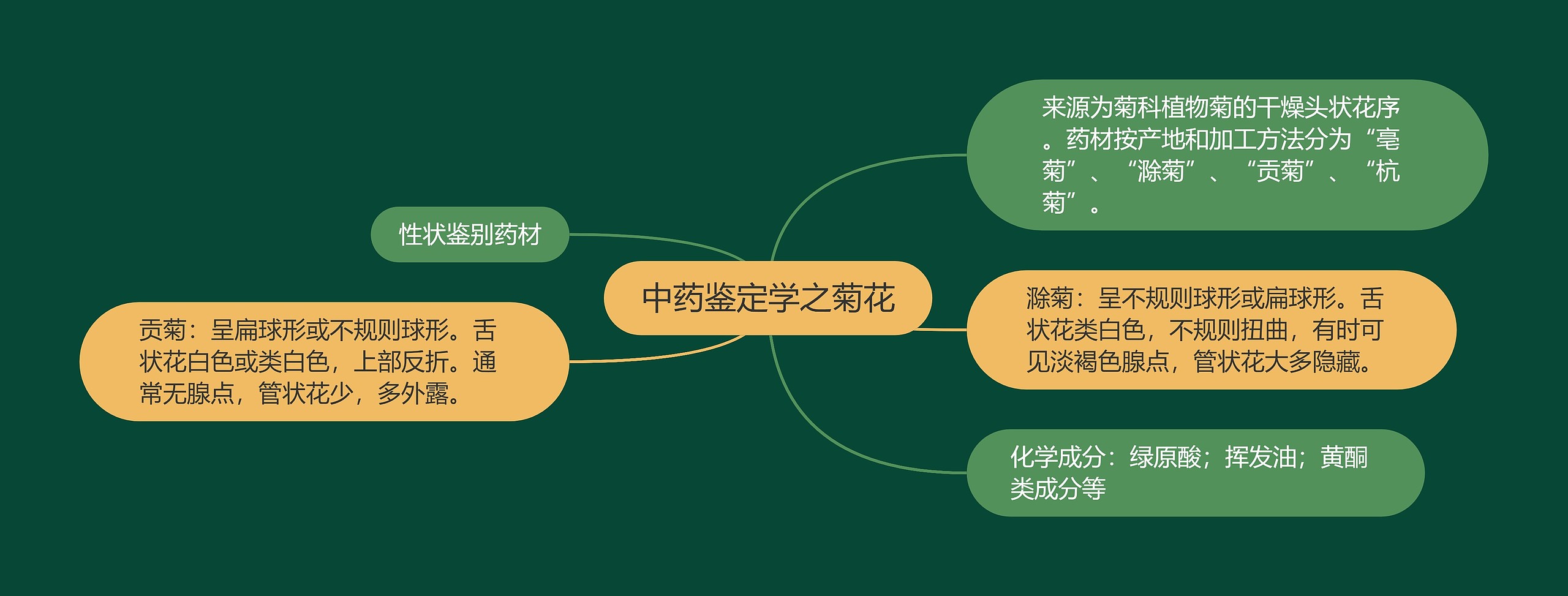 中药鉴定学之菊花思维导图