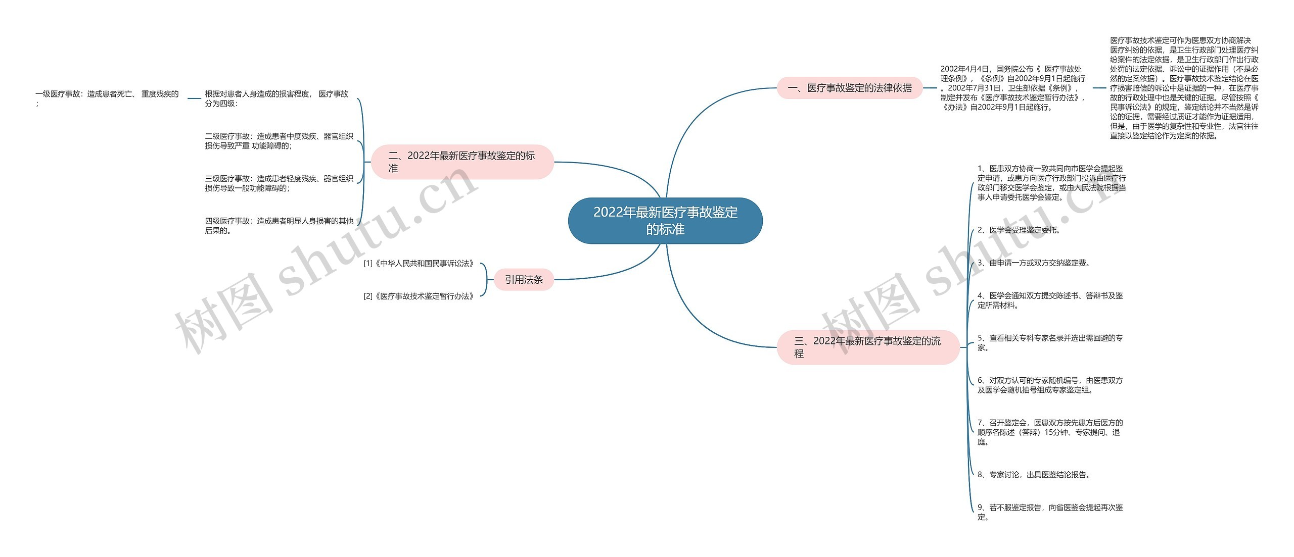 2022年最新医疗事故鉴定的标准思维导图