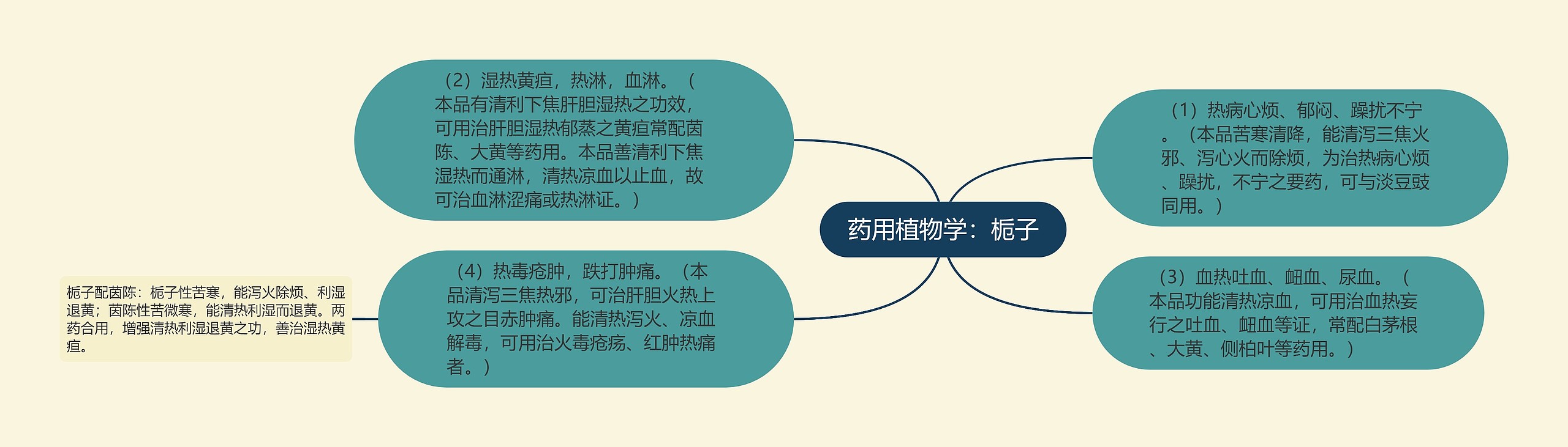 药用植物学:栀子 药用植物学:栀子