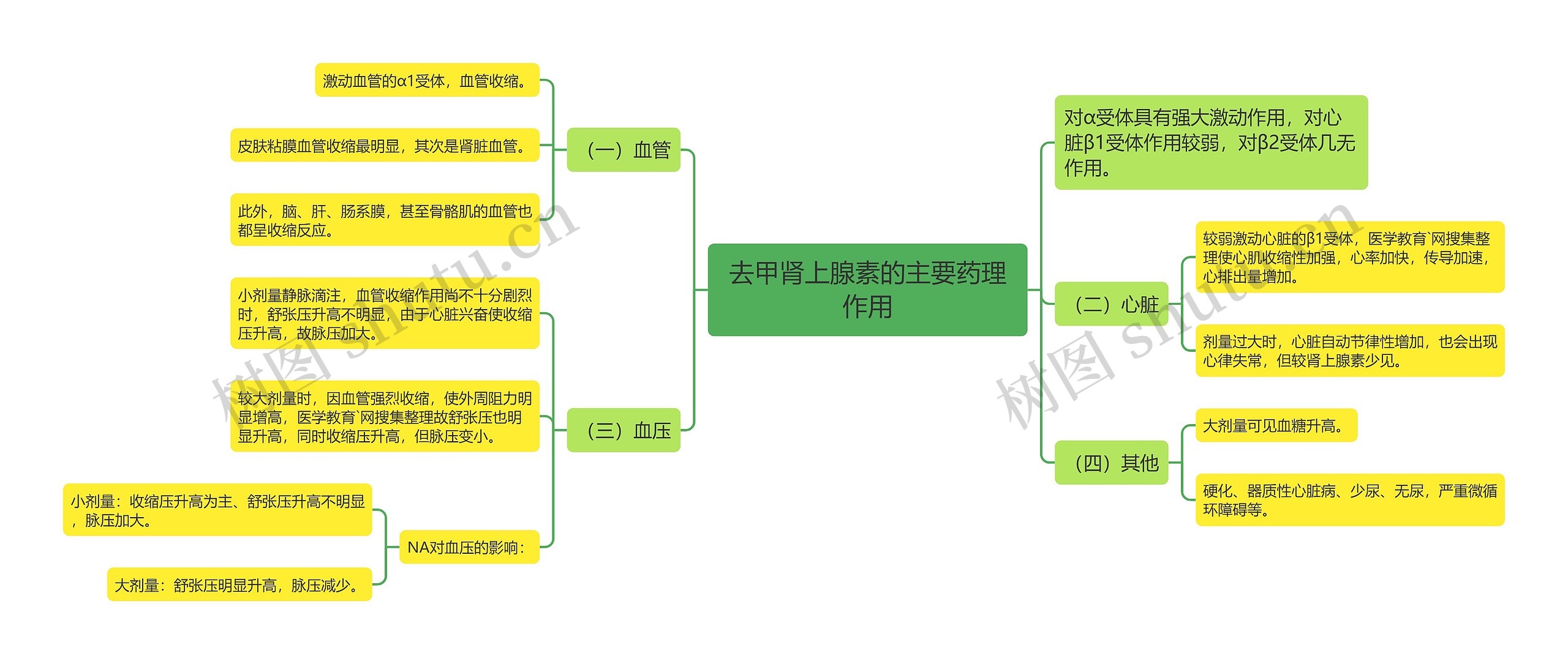 去甲肾上腺素的主要药理作用思维导图