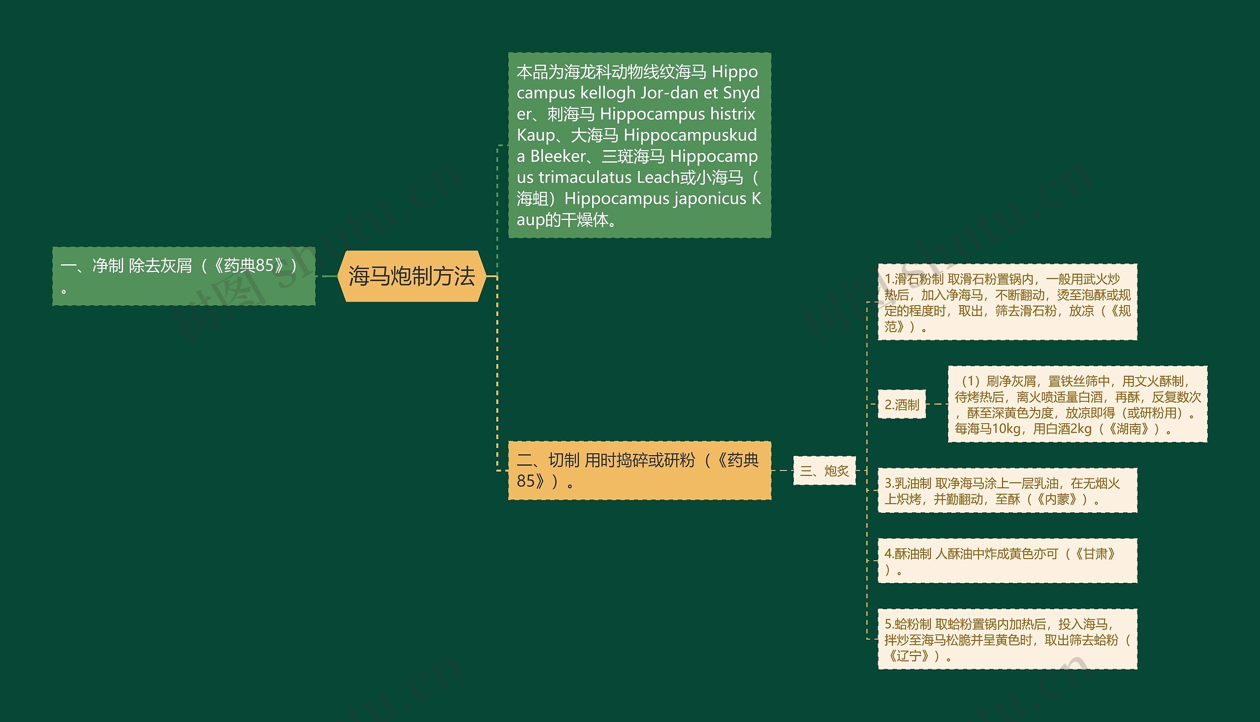 海马炮制方法思维导图