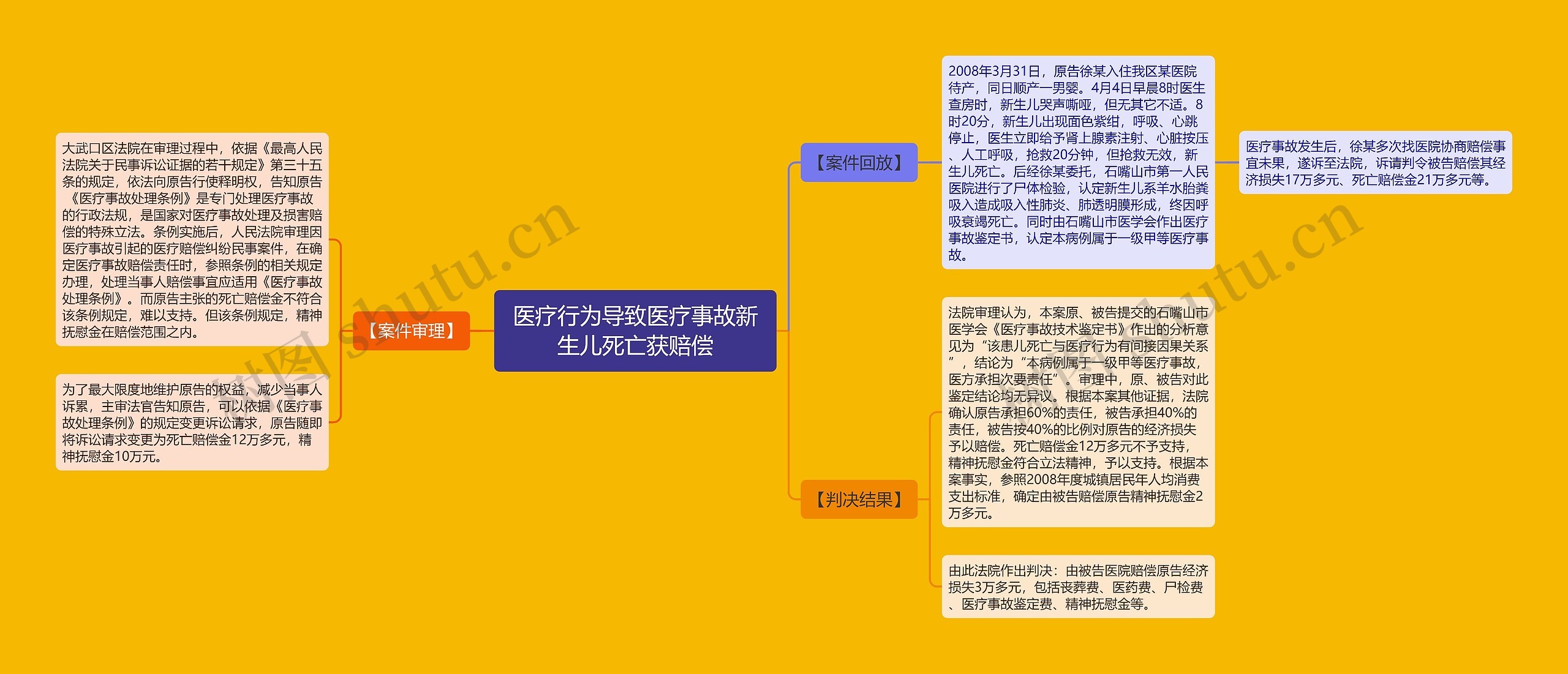 医疗行为导致医疗事故新生儿死亡获赔偿思维导图