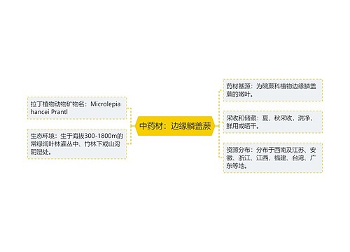 中药材：边缘鳞盖蕨