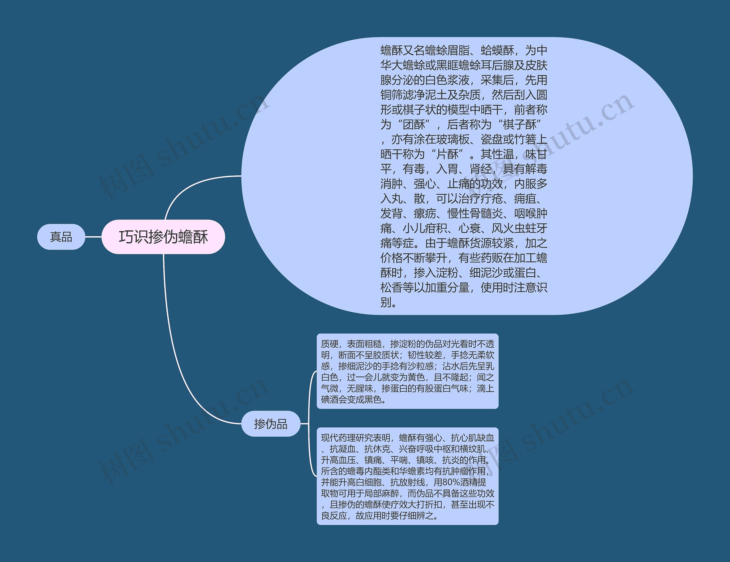 巧识掺伪蟾酥思维导图