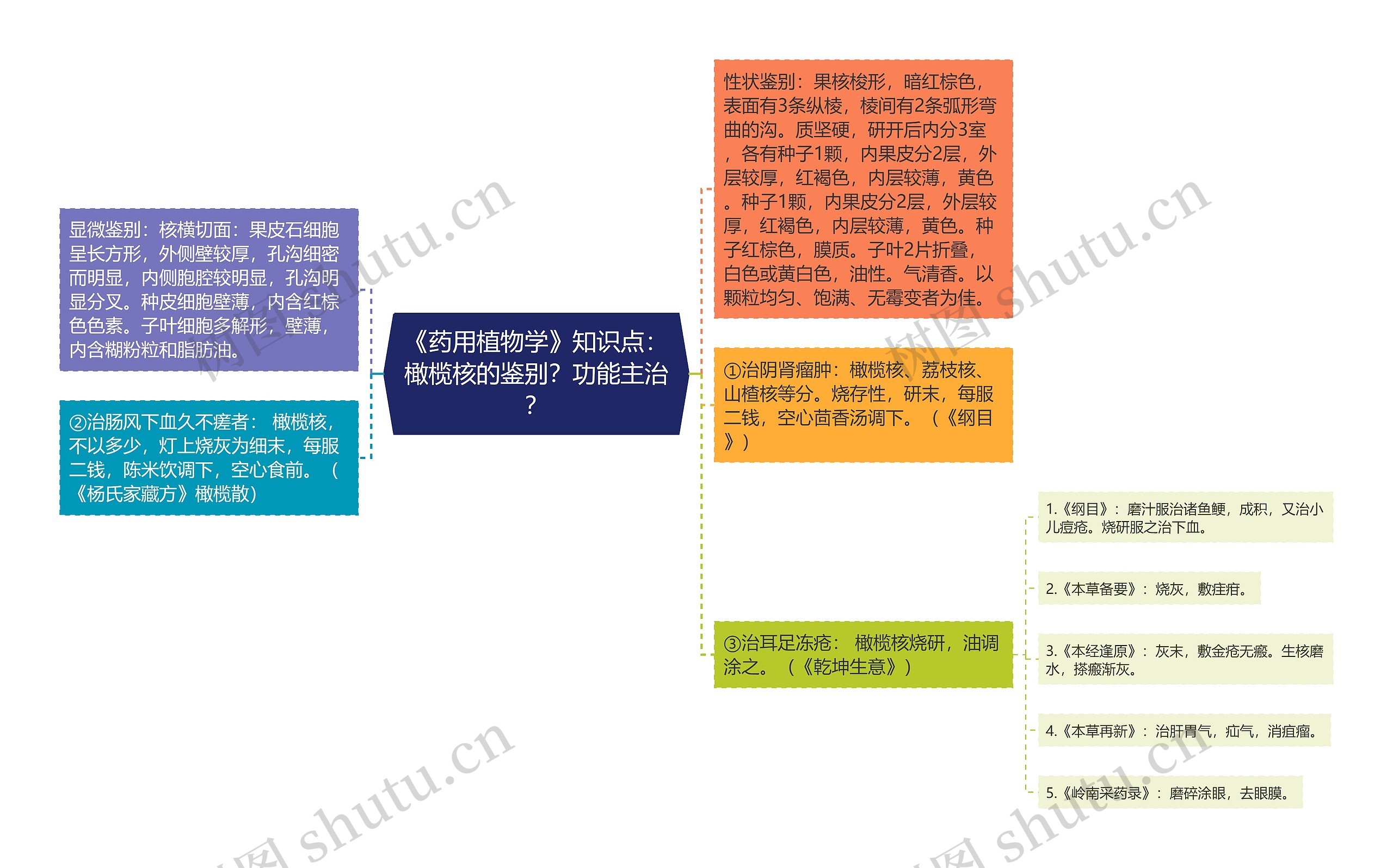 《药用植物学》知识点:橄榄核的鉴别?功能主治? 《药用植物学》知识点:橄榄核的鉴别?功能主治?
