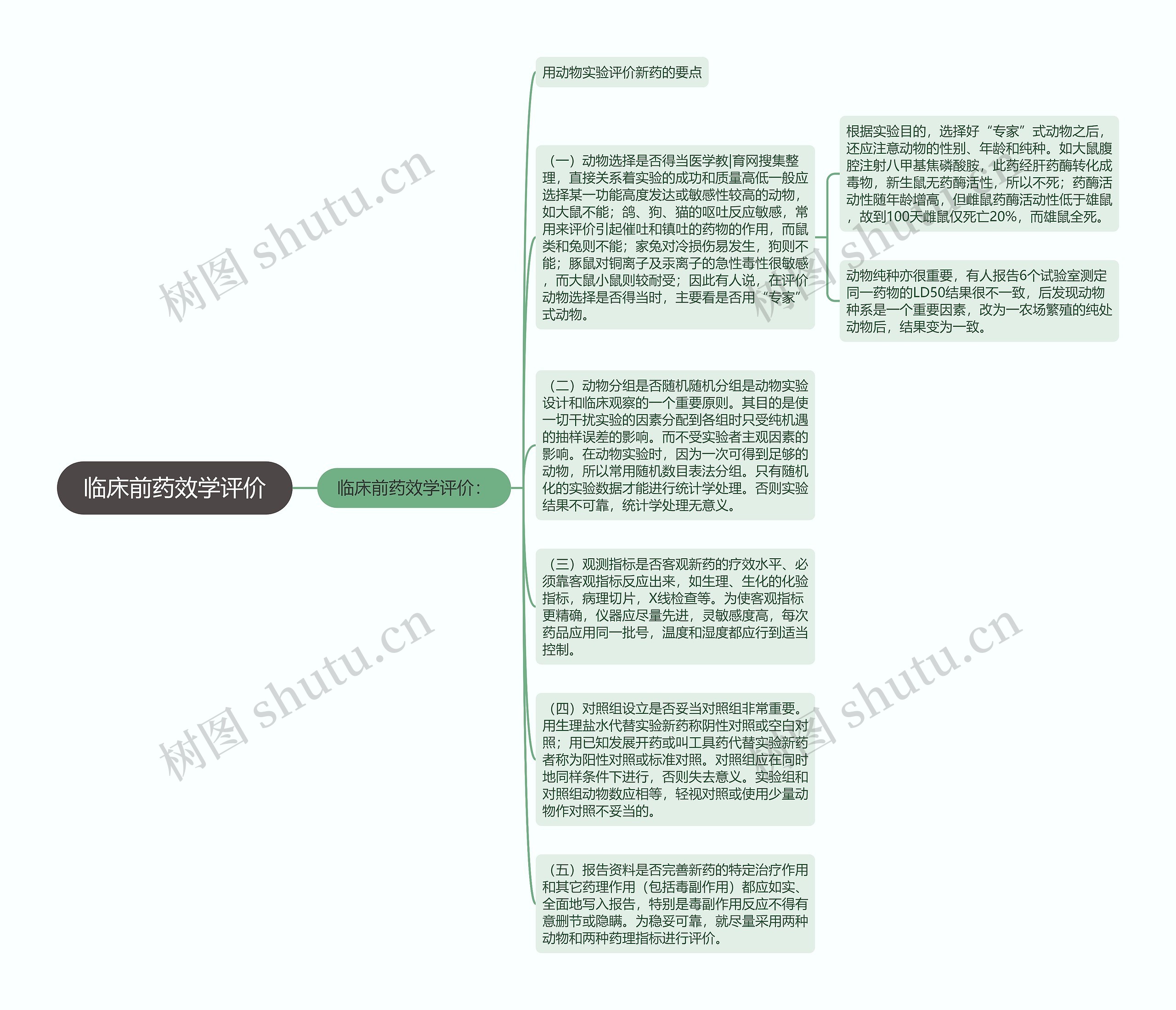 临床前药效学评价思维导图