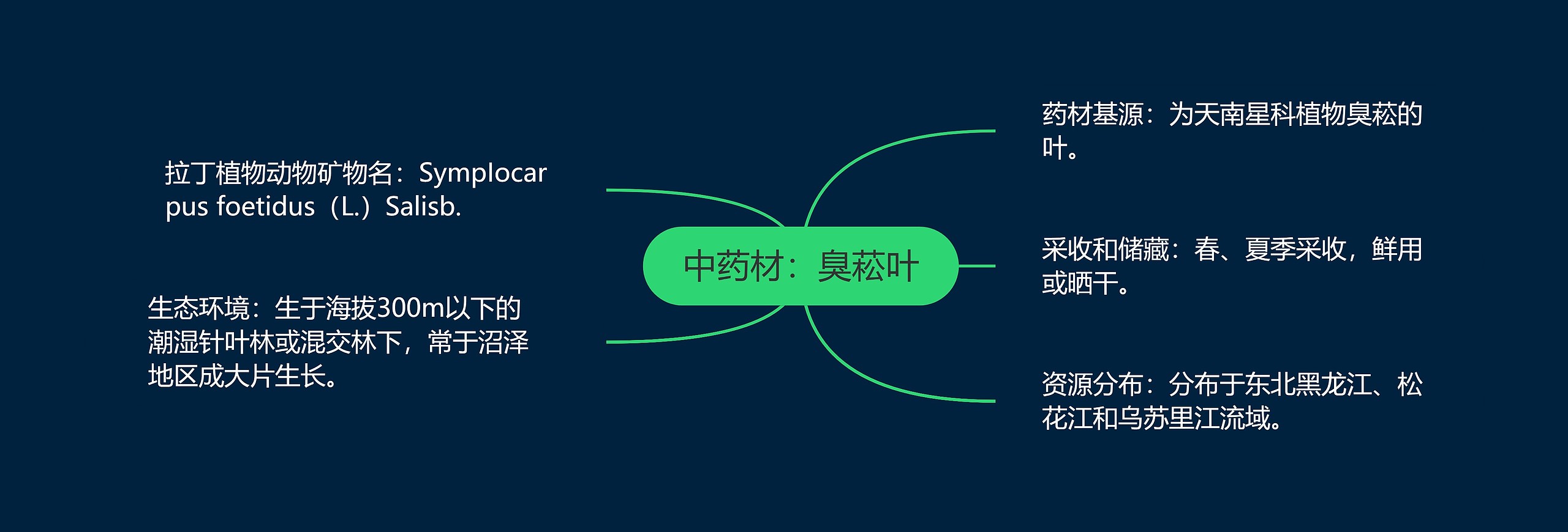 中药材：臭菘叶思维导图