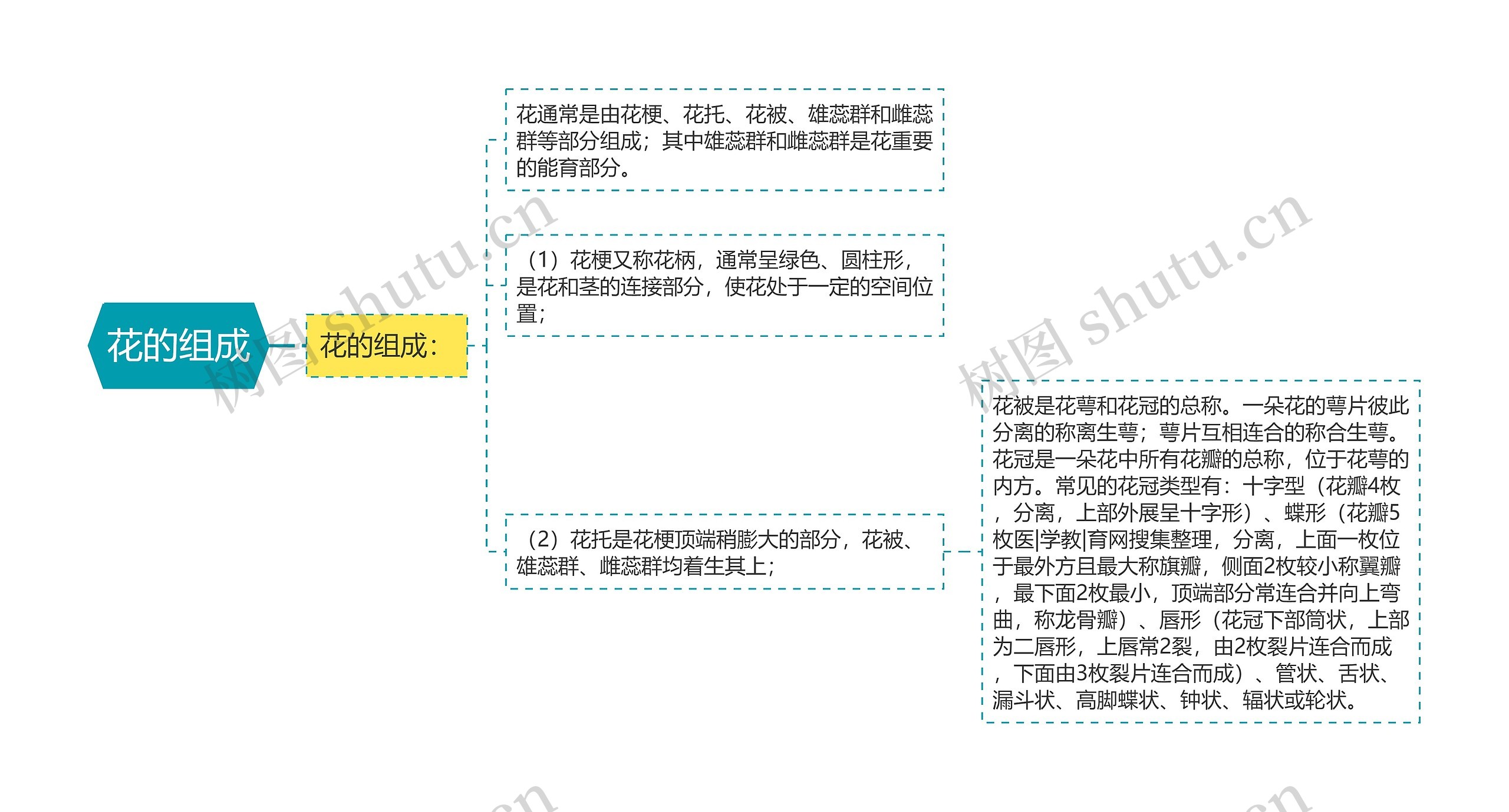 花的组成思维导图