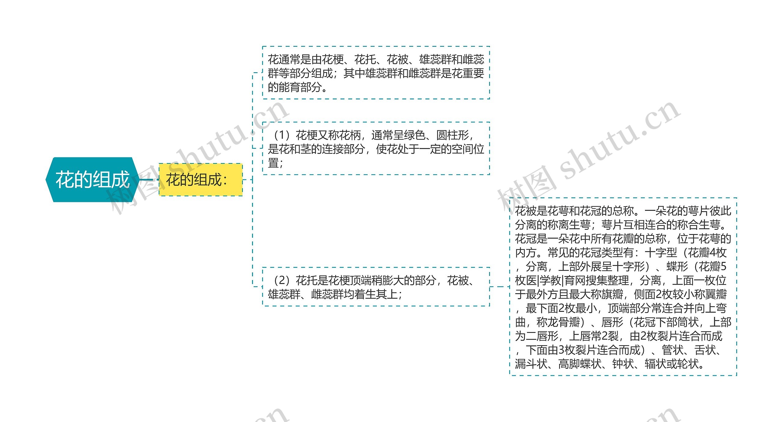 花的组成 花的组成