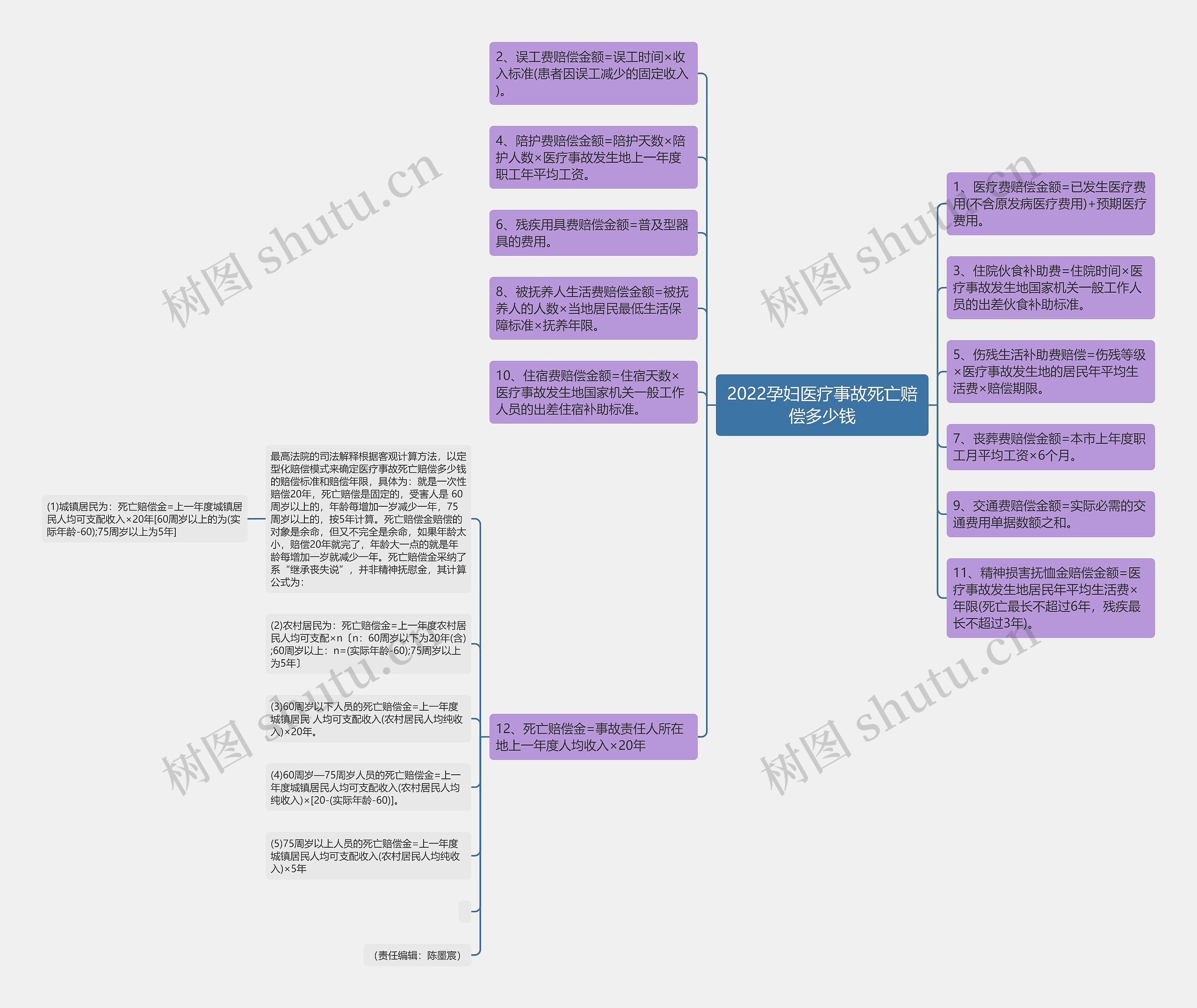 2022孕妇医疗事故死亡赔偿多少钱思维导图