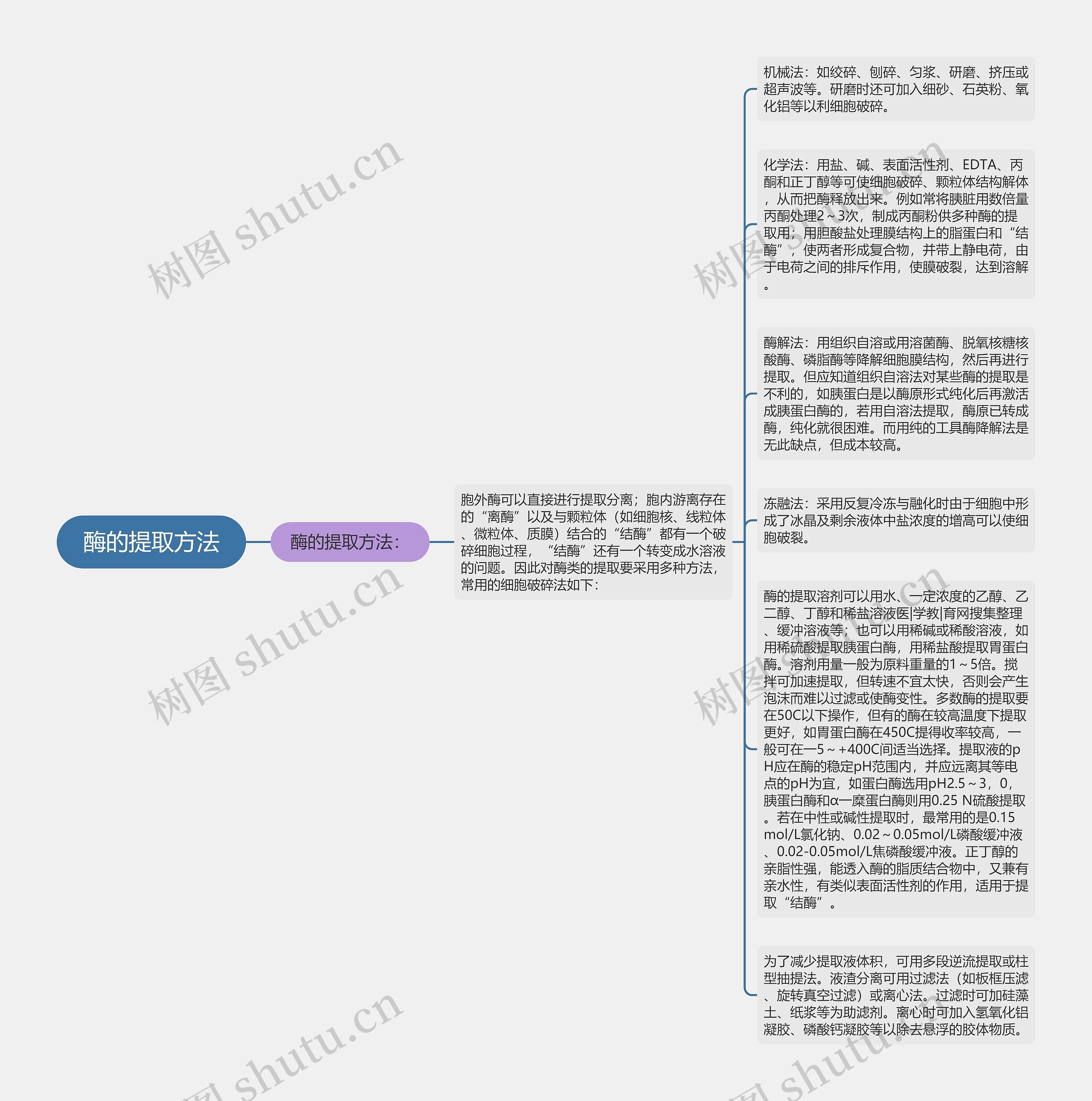 酶的提取方法思维导图