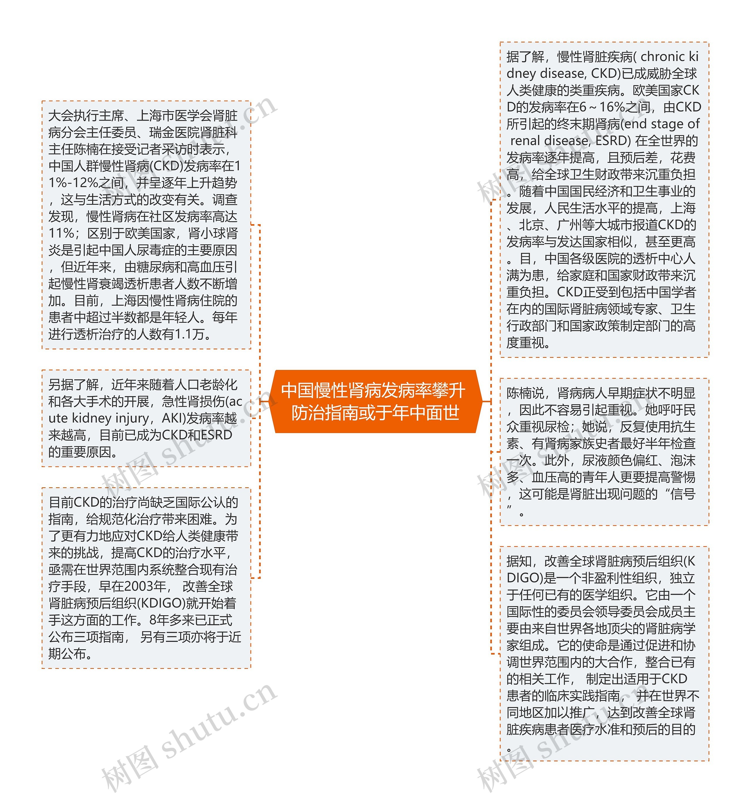 中国慢性肾病发病率攀升 防治指南或于年中面世思维导图