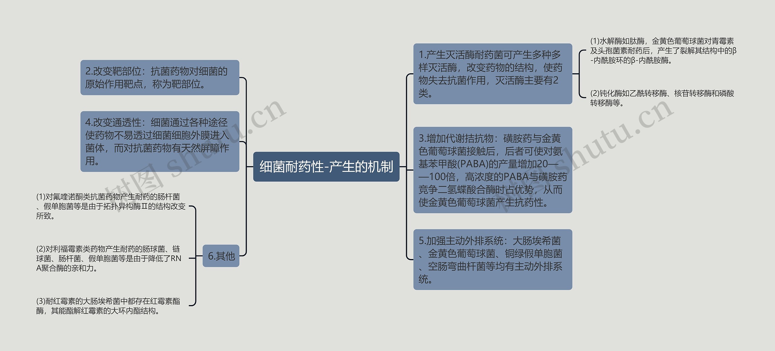 细菌耐药性-产生的机制思维导图