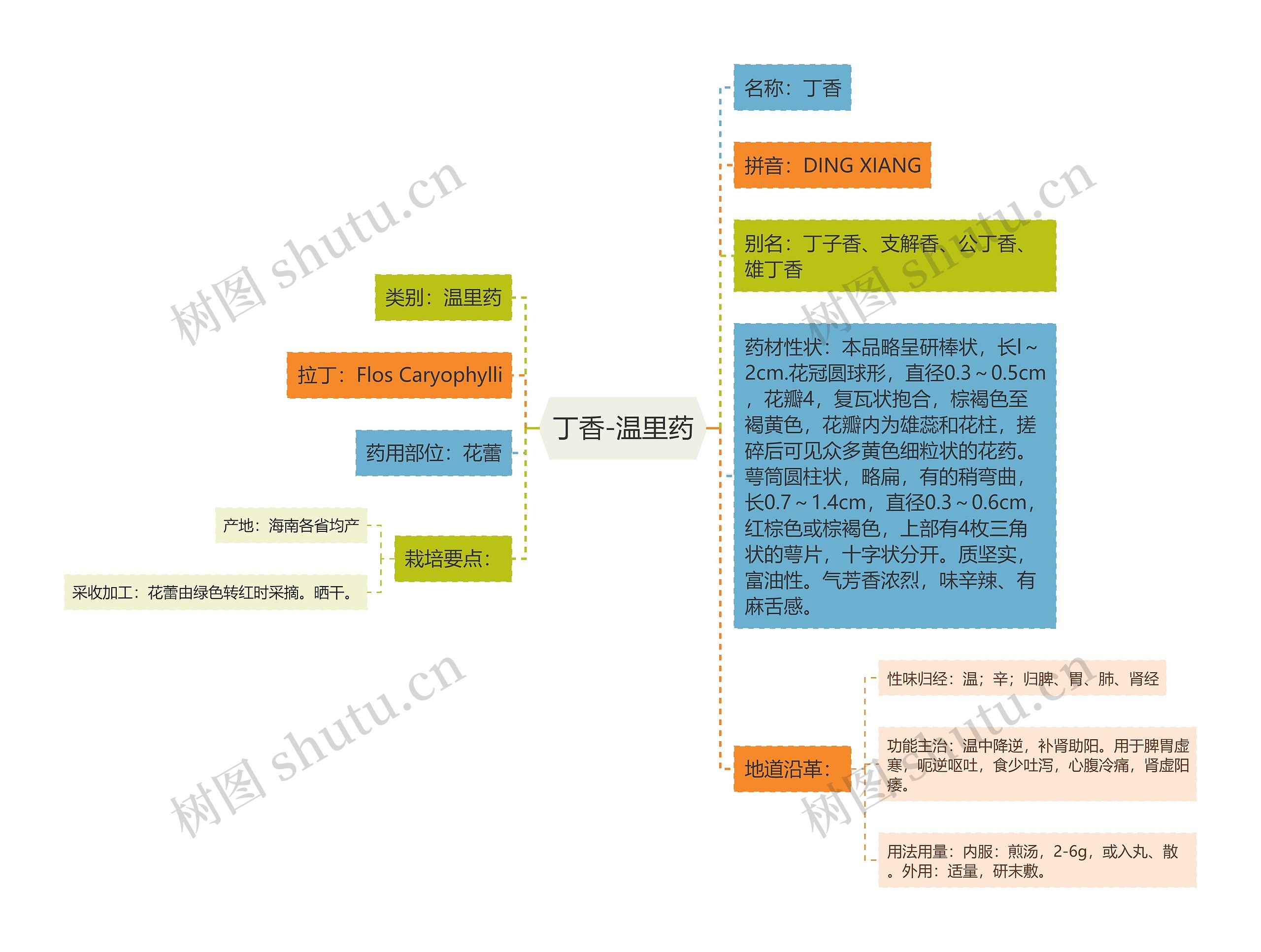 丁香-温里药思维导图