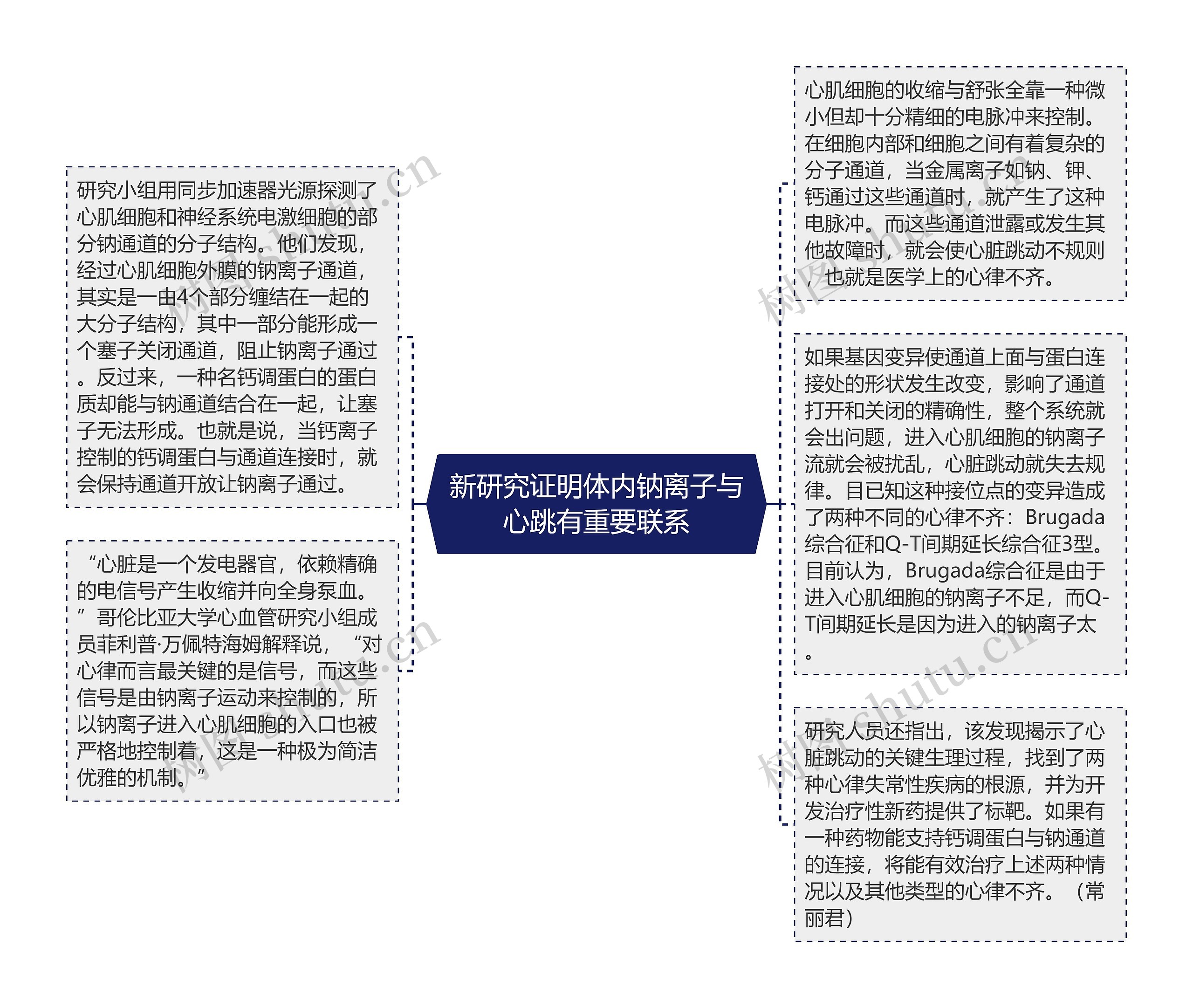 新研究证明体内钠离子与心跳有重要联系思维导图