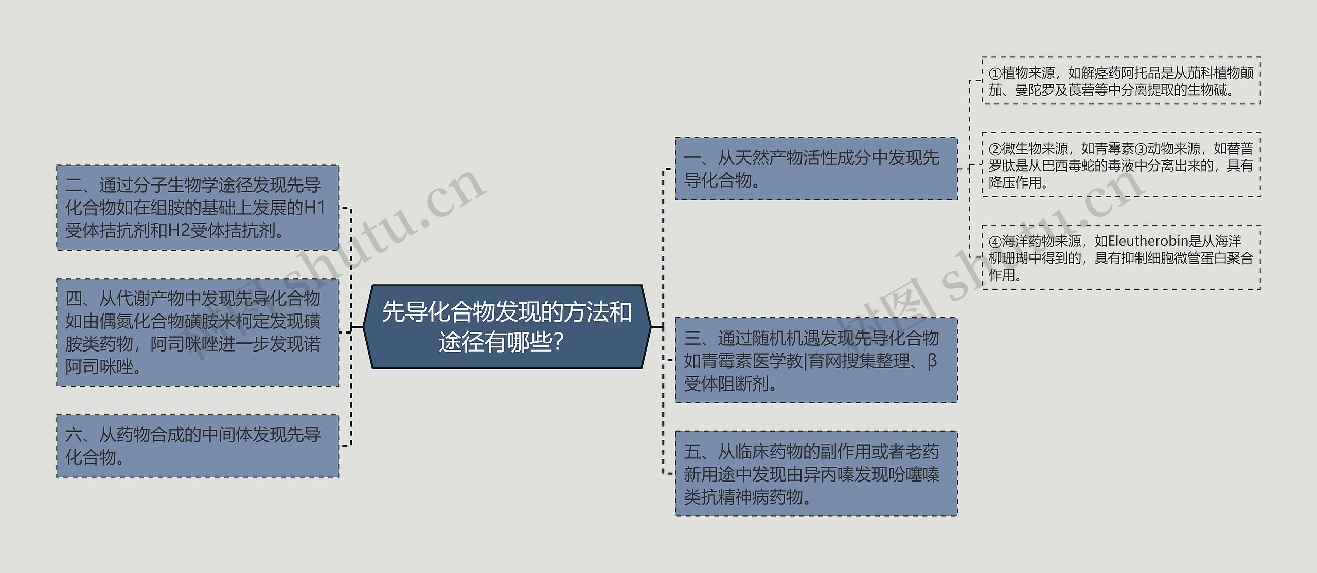 先导化合物发现的方法和途径有哪些？思维导图