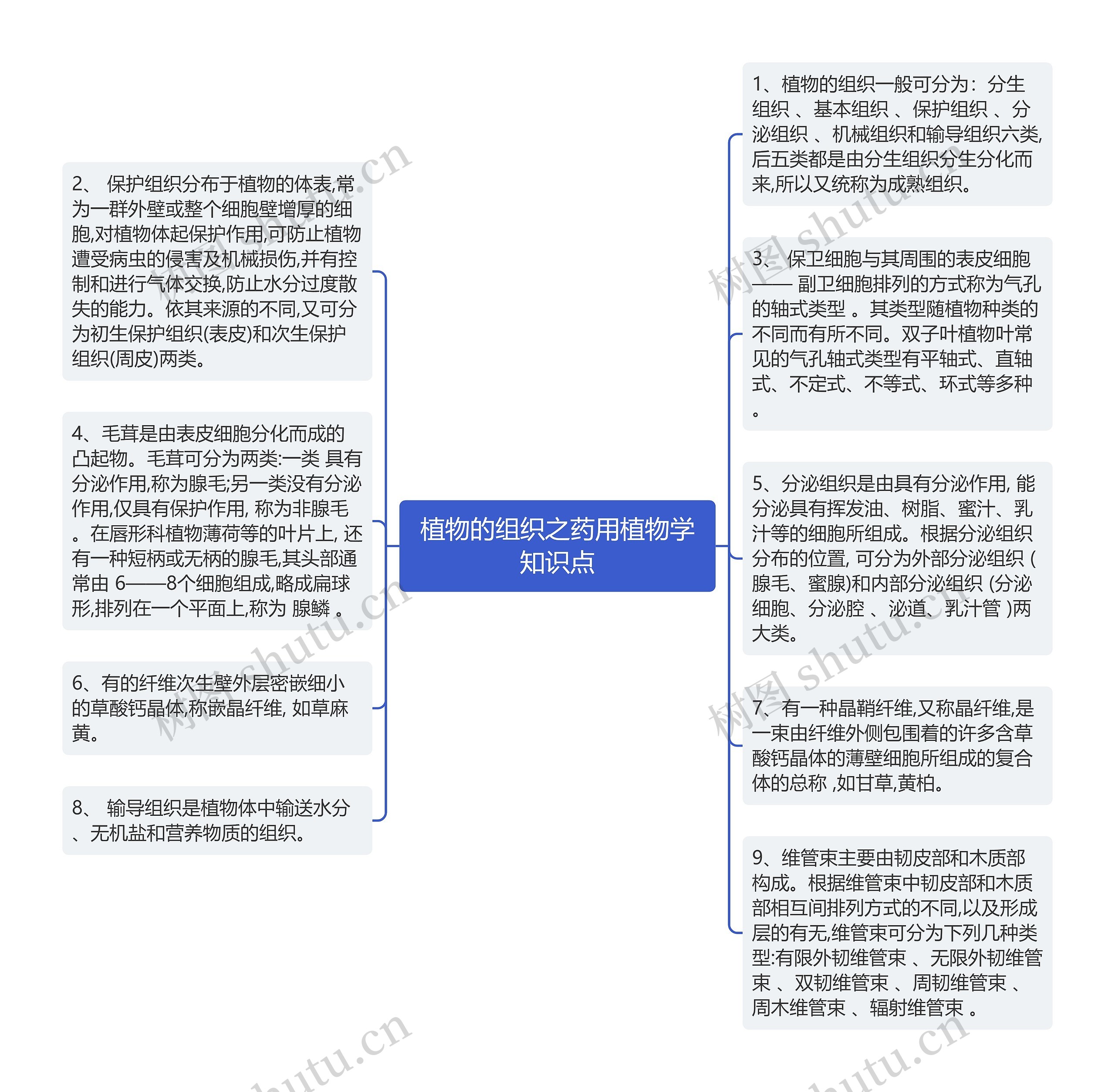 植物的组织之药用植物学知识点