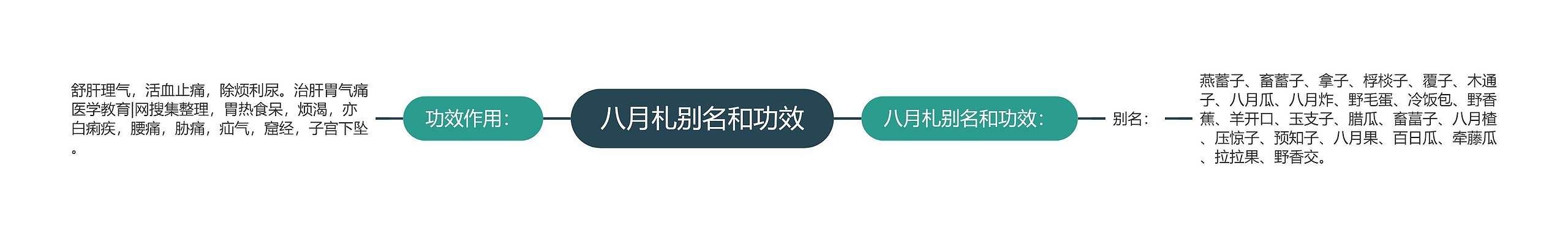 八月札别名和功效思维导图