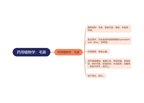 药用植物学：毛姜