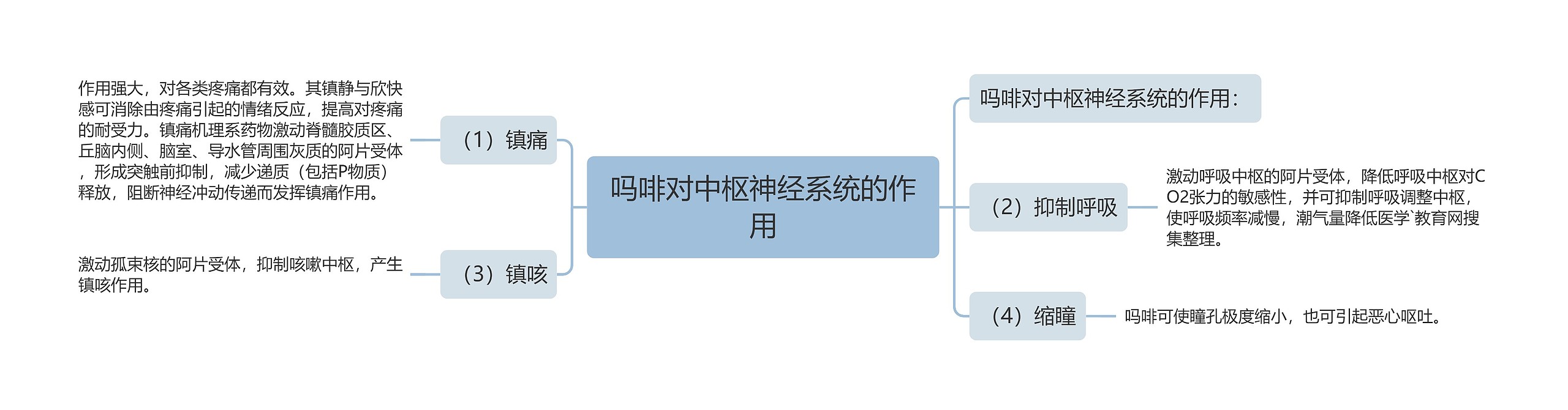 吗啡对中枢神经系统的作用思维导图