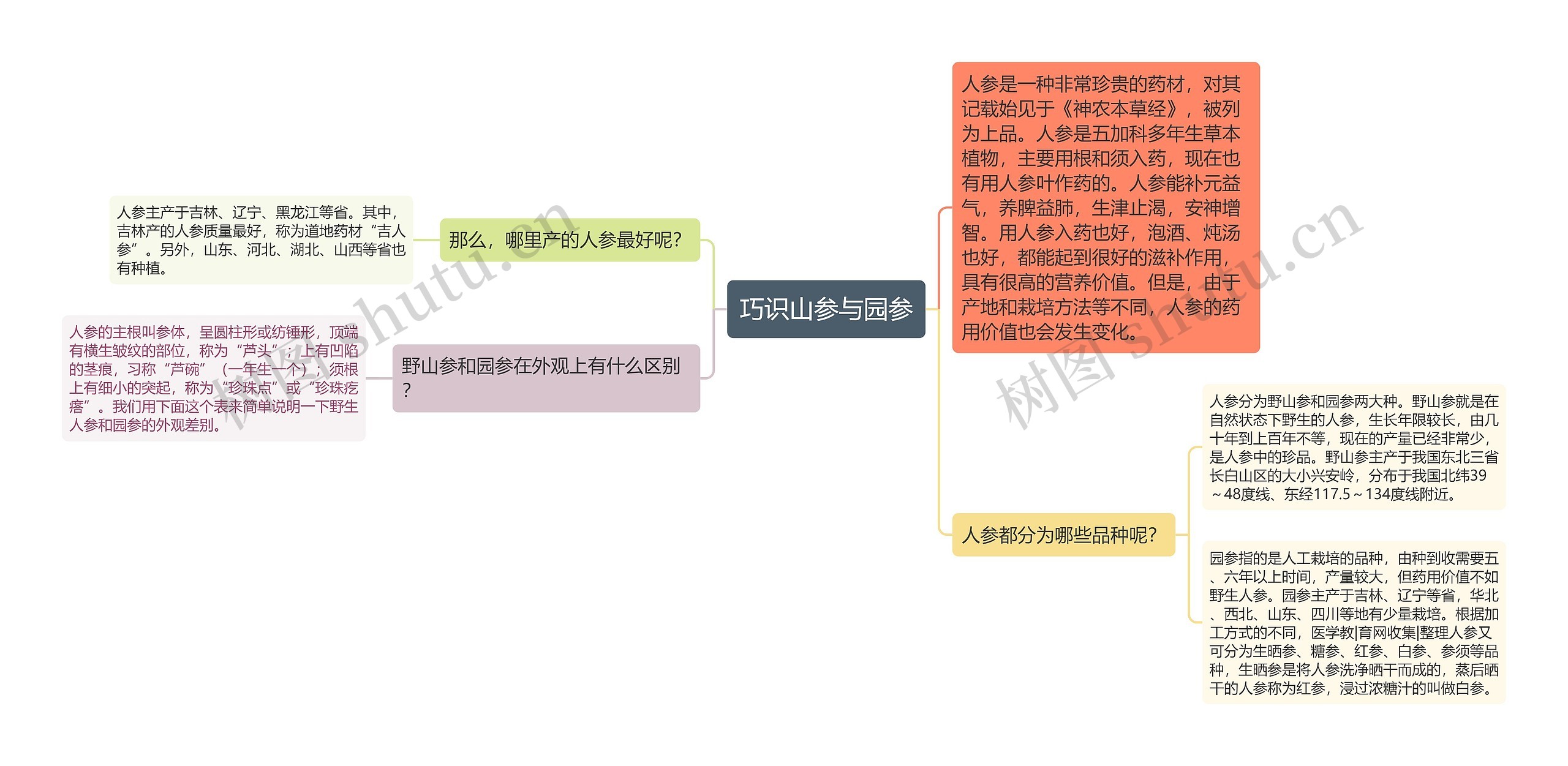 巧识山参与园参思维导图