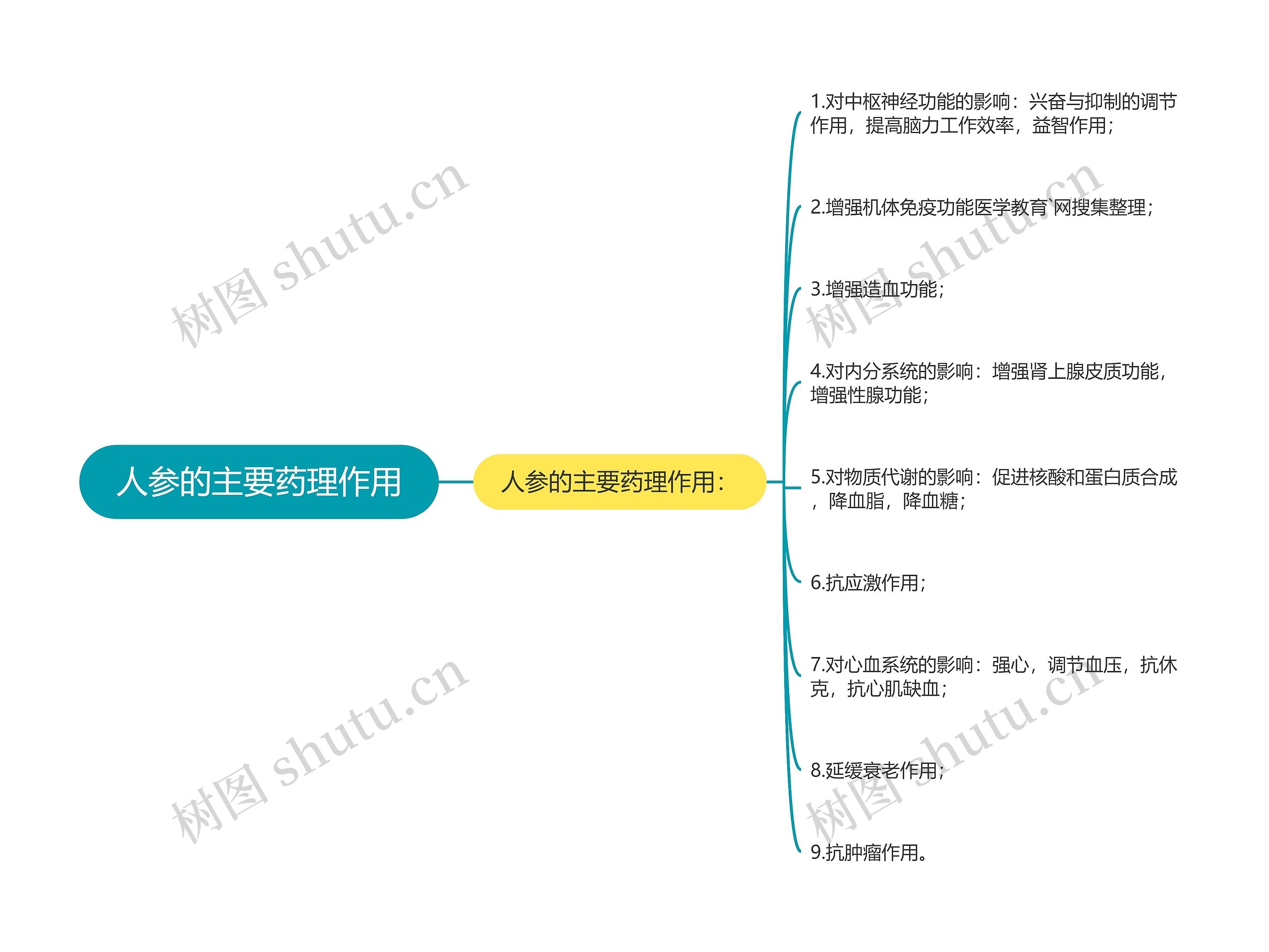 人参的主要药理作用思维导图