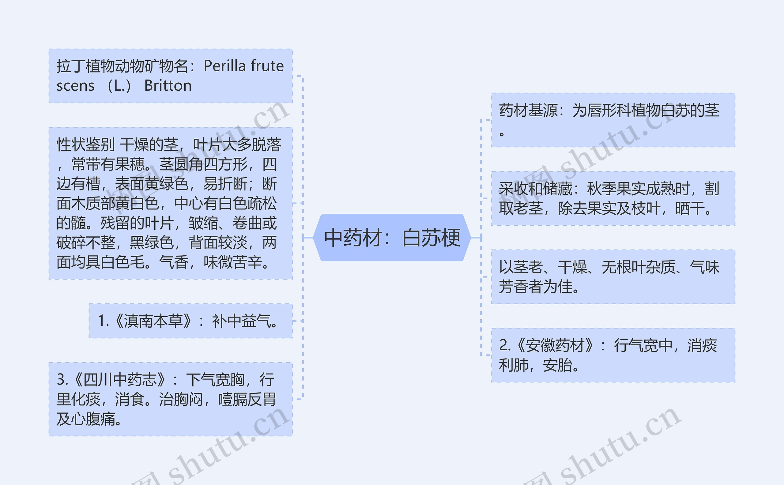 中药材：白苏梗思维导图