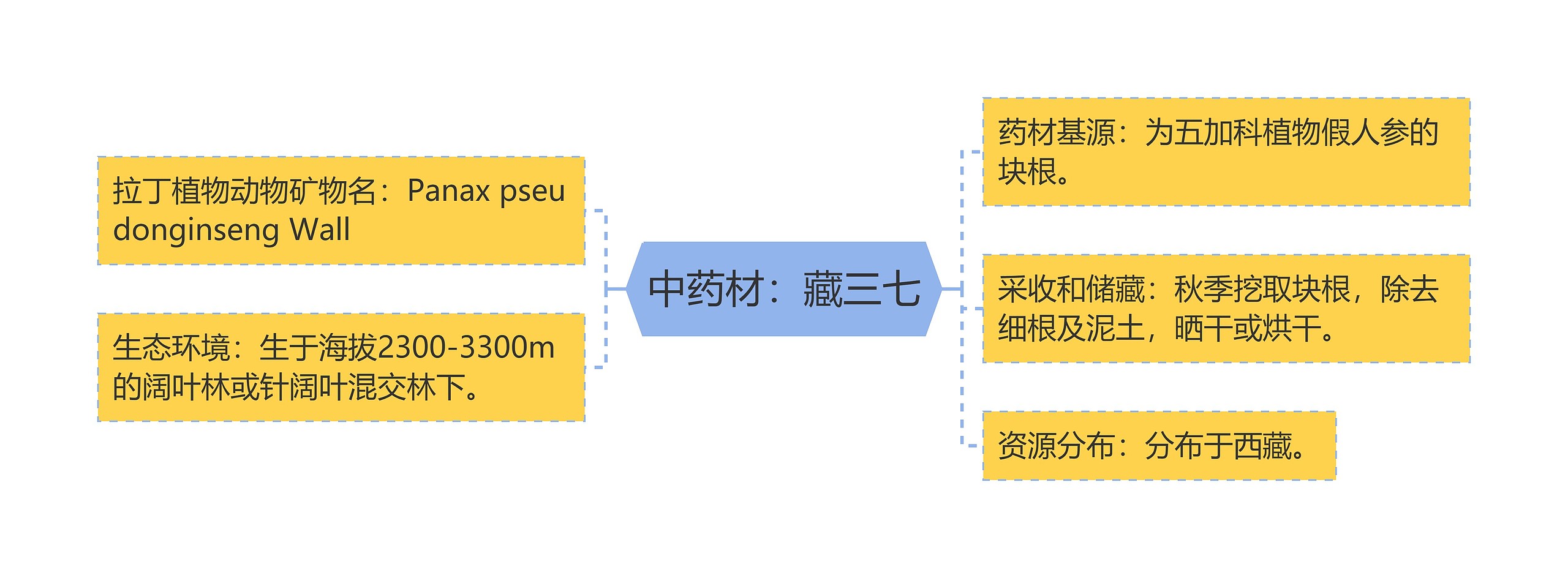 中药材：藏三七思维导图