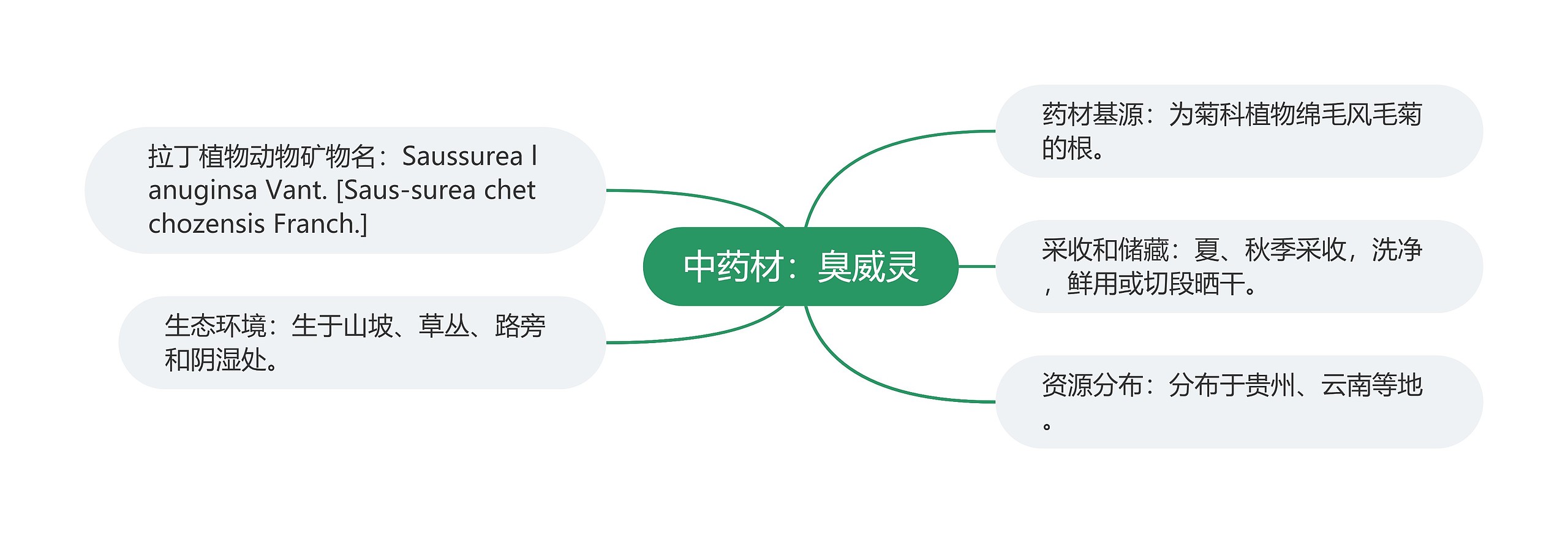 中药材：臭威灵思维导图