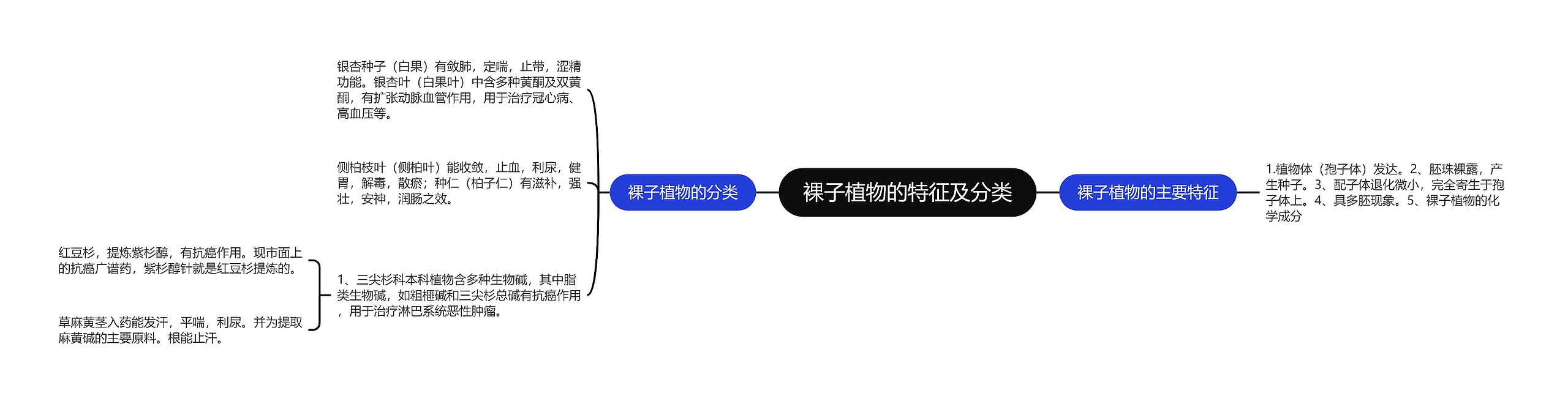 裸子植物的特征及分类思维导图