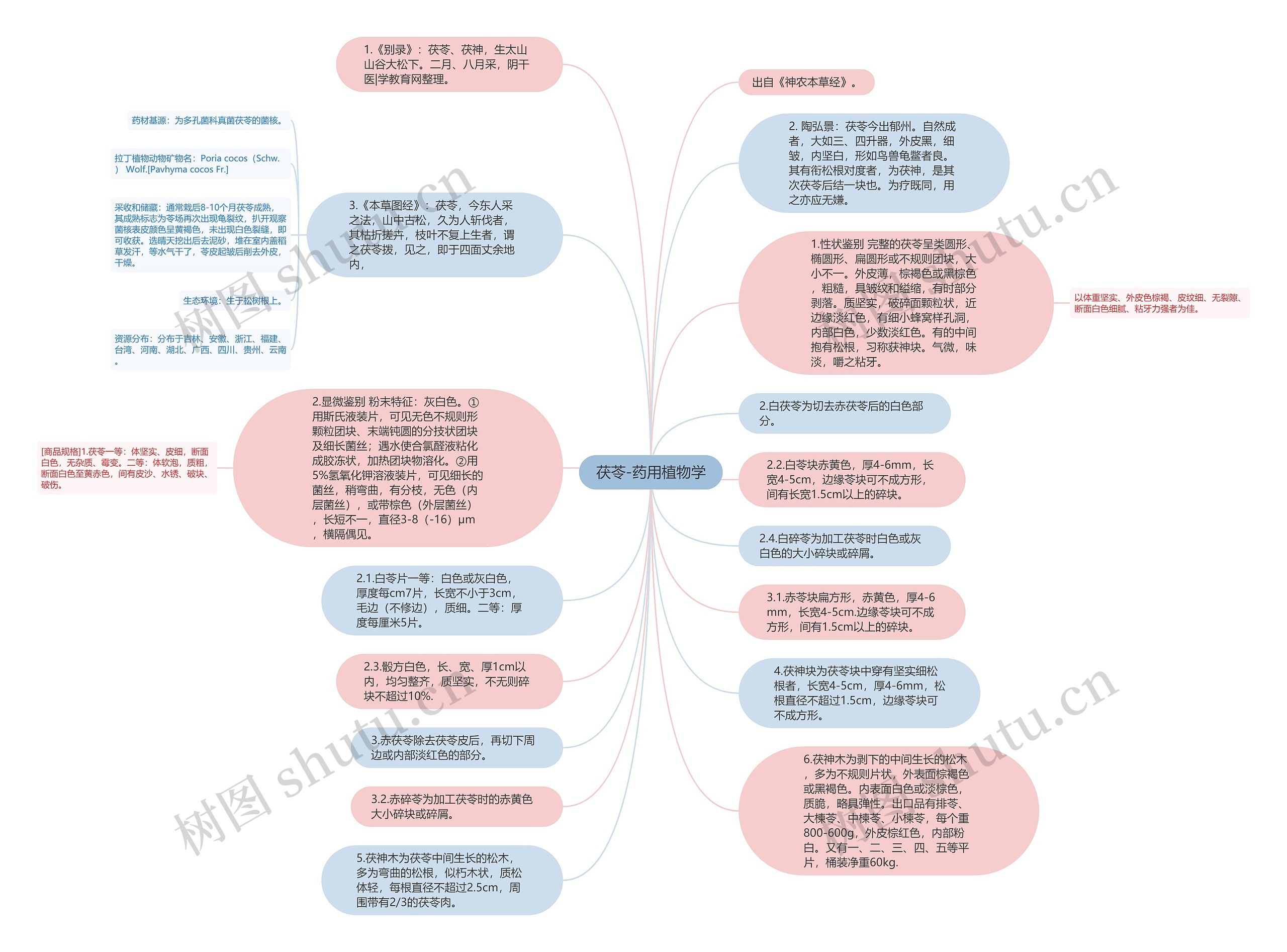 茯苓-药用植物学思维导图