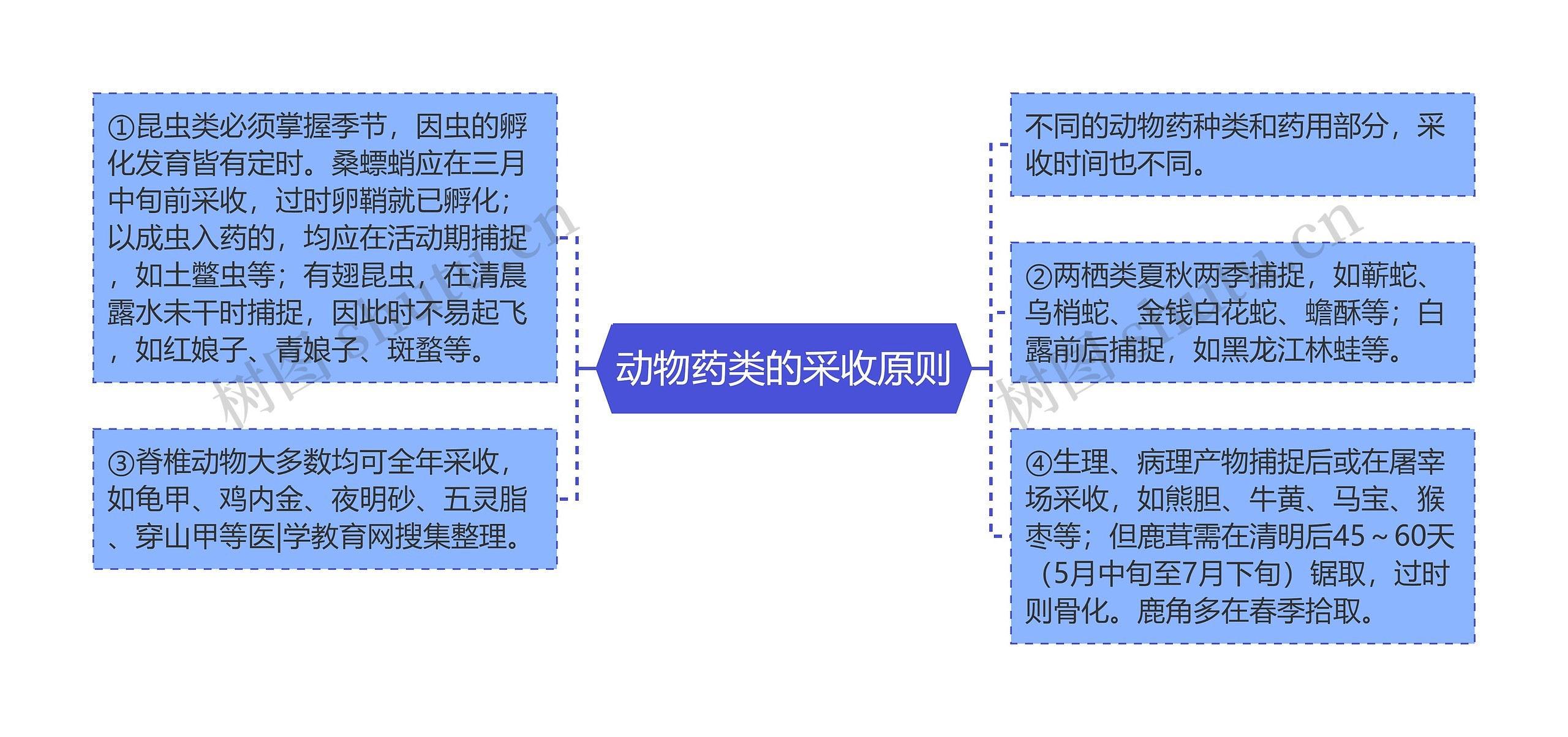 动物药类的采收原则思维导图