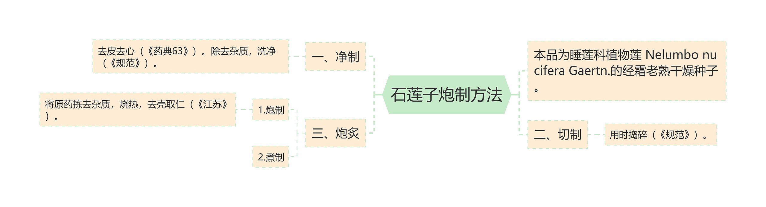 石莲子炮制方法思维导图