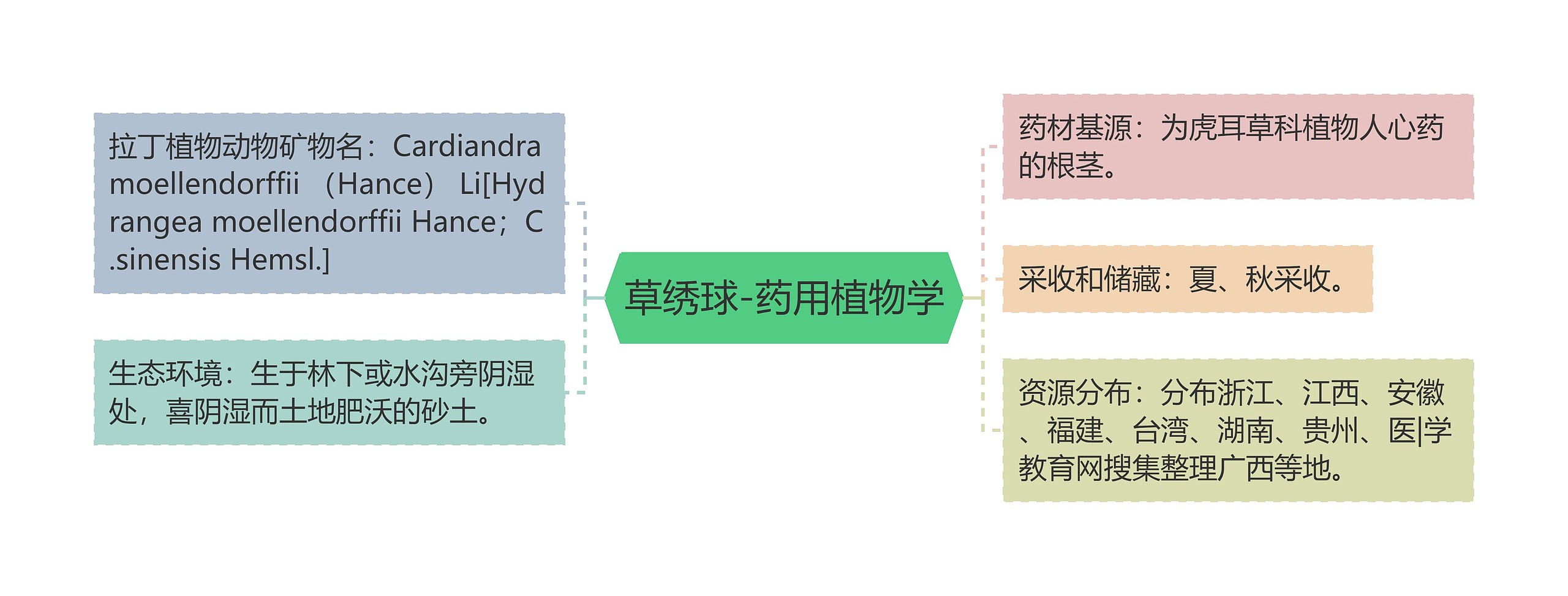 草绣球-药用植物学 草绣球-药用植物学