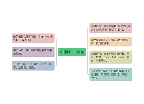 中药材：白刺花