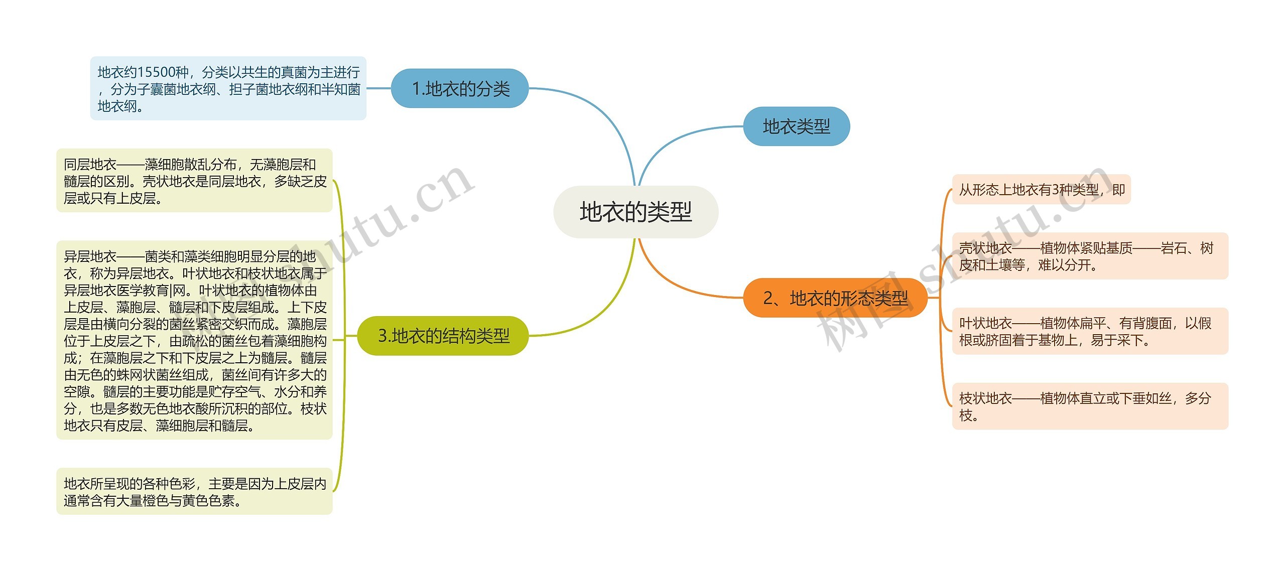 地衣的类型思维导图