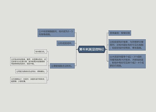 黄芩来源|显微特征