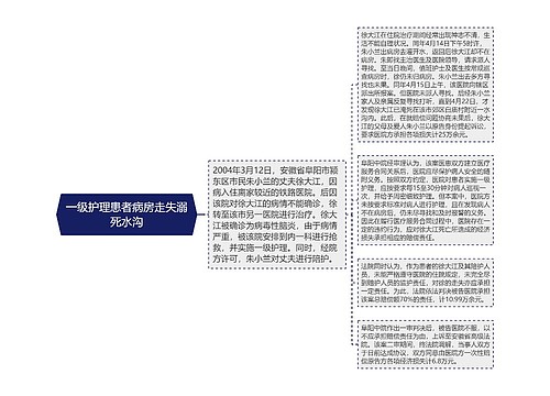 一级护理患者病房走失溺死水沟思维导图