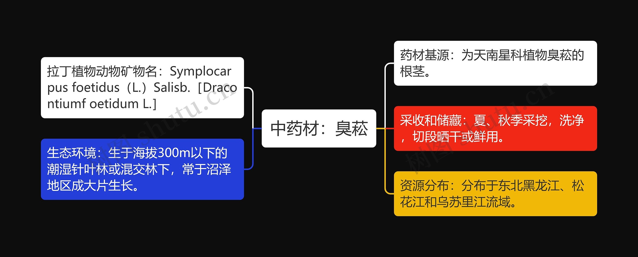 中药材：臭菘思维导图