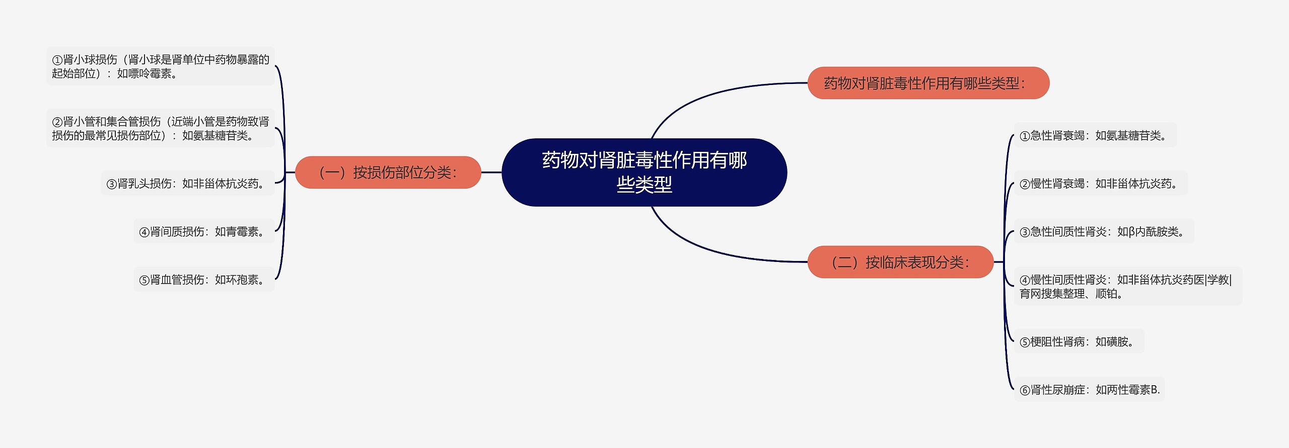 药物对肾脏毒性作用有哪些类型思维导图