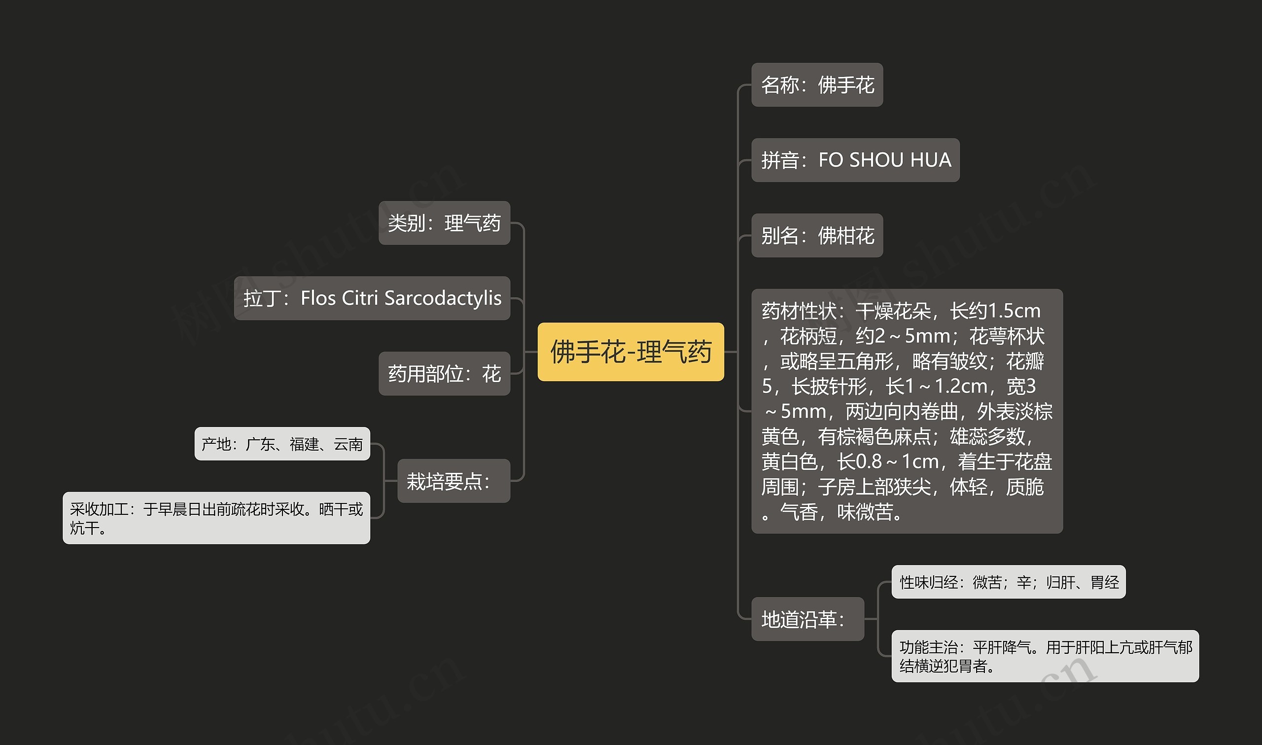 佛手花-理气药思维导图