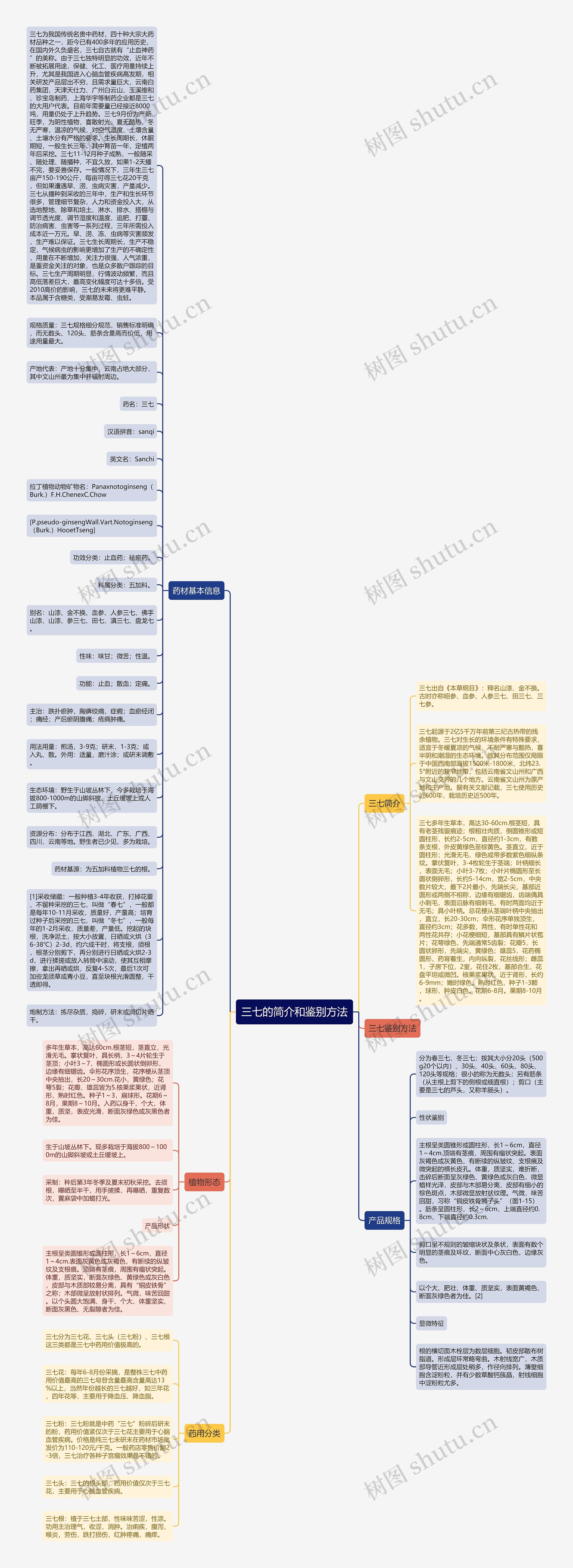 三七的简介和鉴别方法思维导图高清图 三七的简介和鉴别方法思维导图
