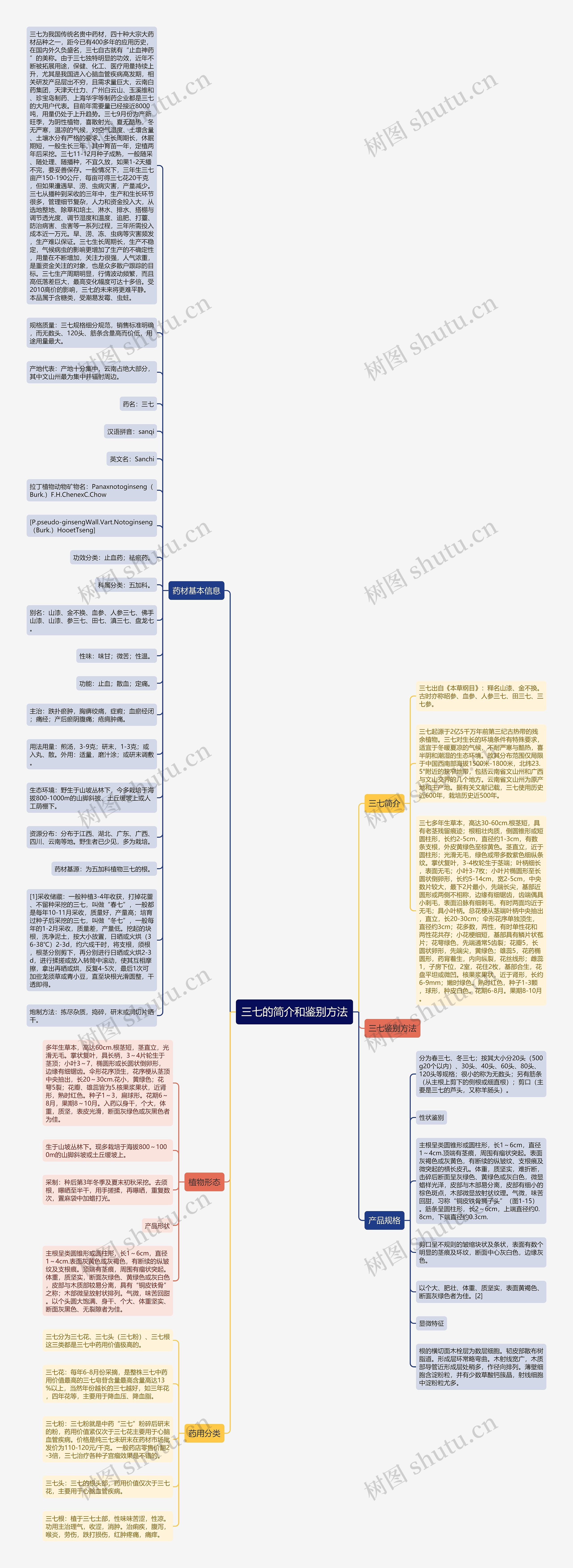 三七的简介和鉴别方法思维导图