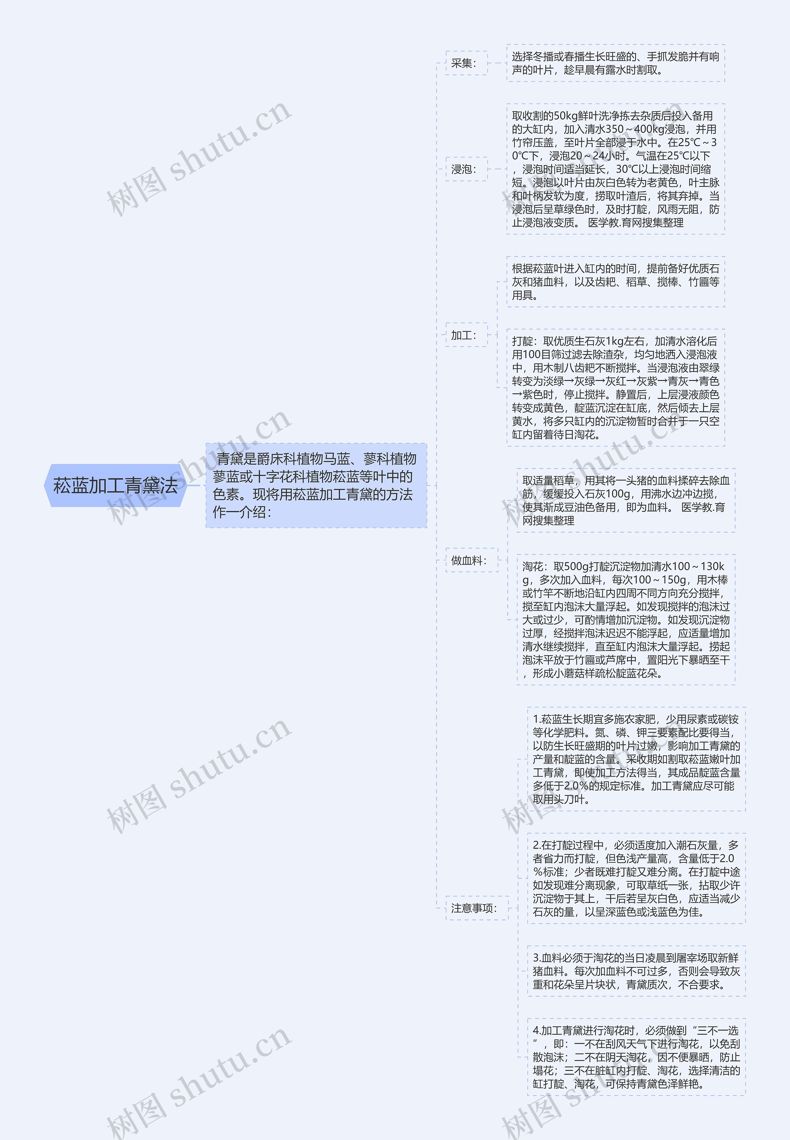 菘蓝加工青黛法思维导图高清图 菘蓝加工青黛法思维导图