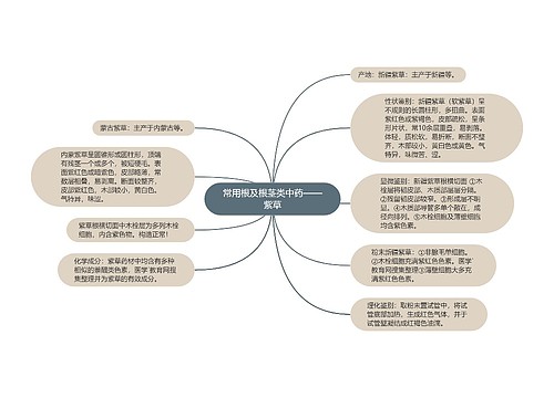 常用根及根茎类中药——紫草