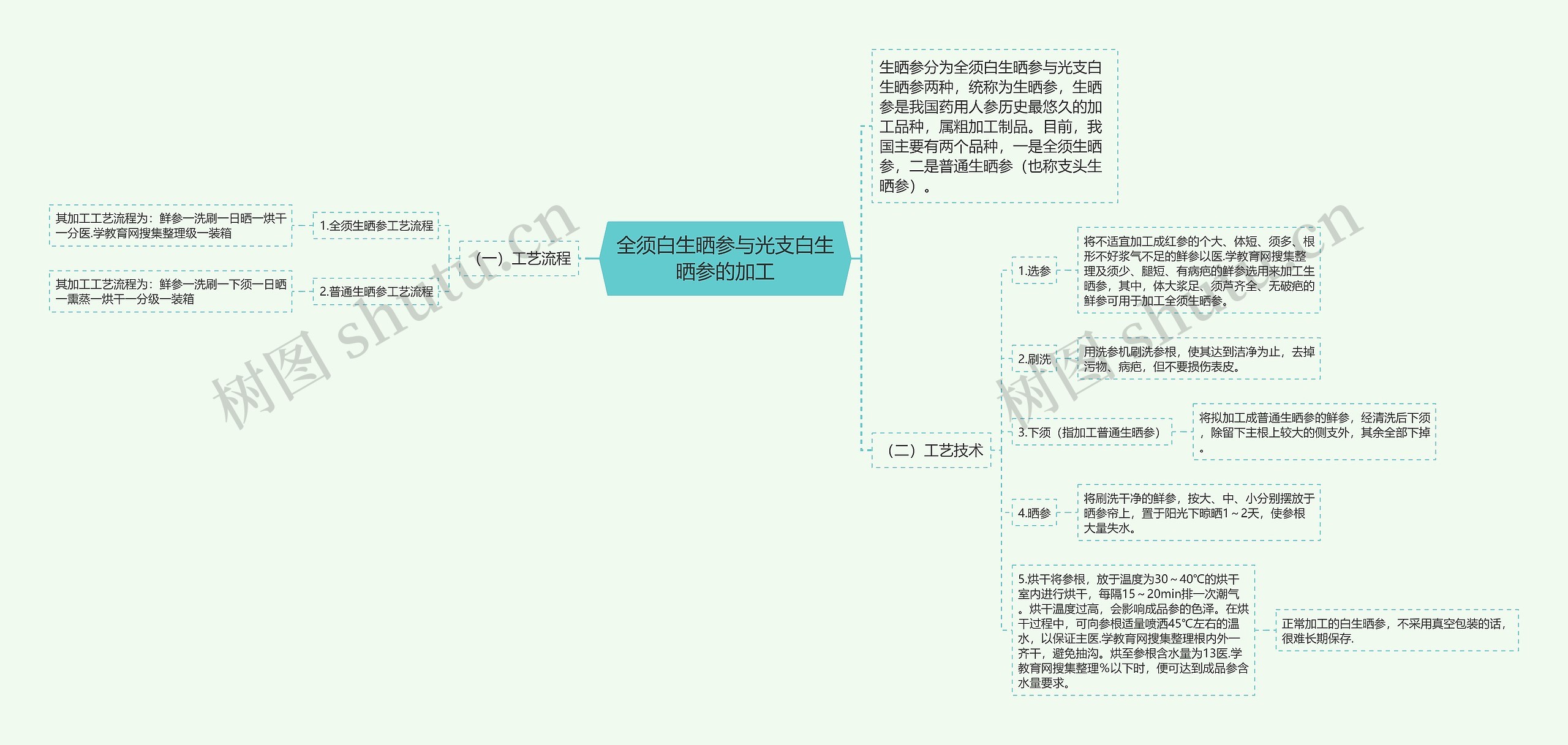 全须白生晒参与光支白生晒参的加工思维导图