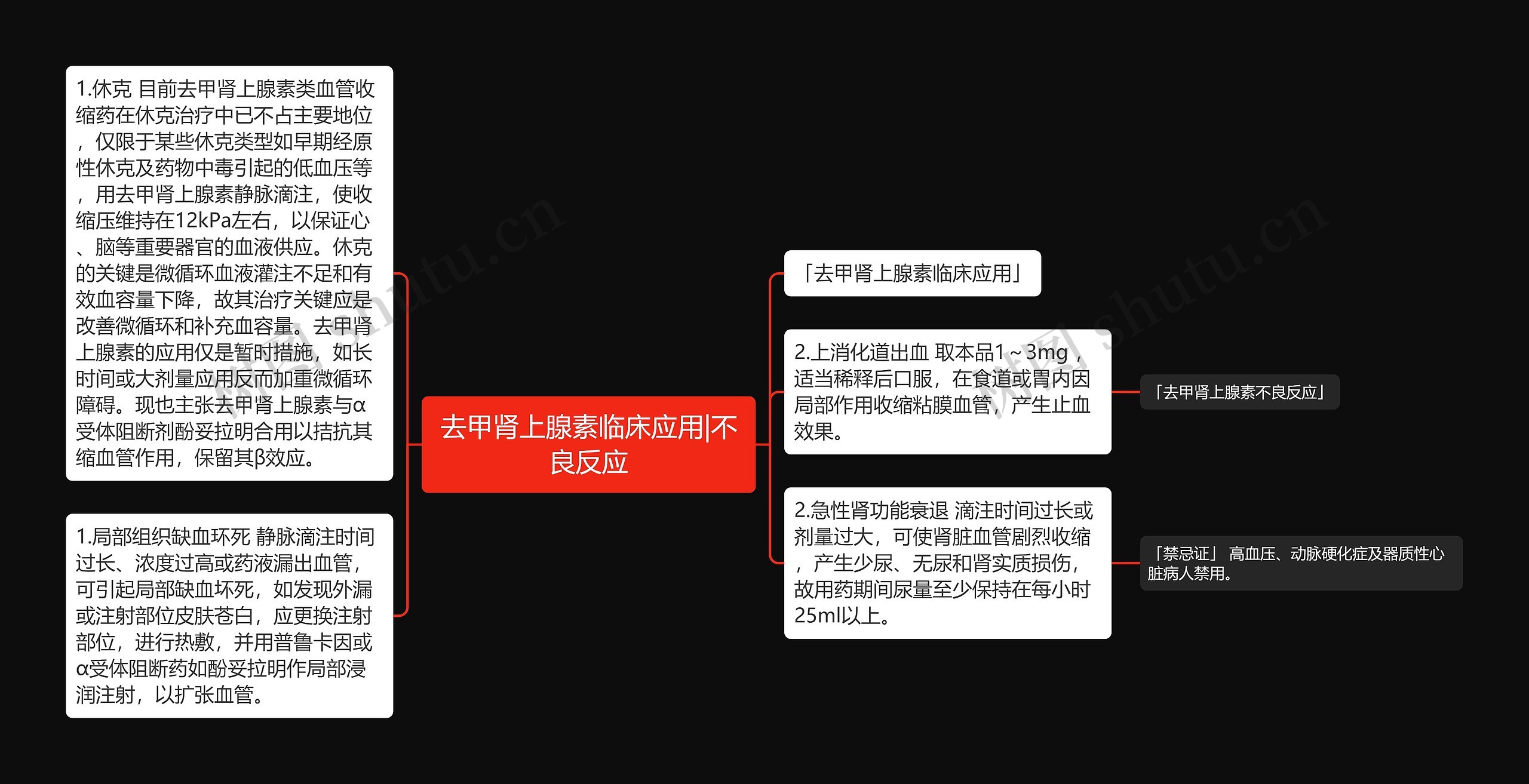 去甲肾上腺素临床应用|不良反应思维导图