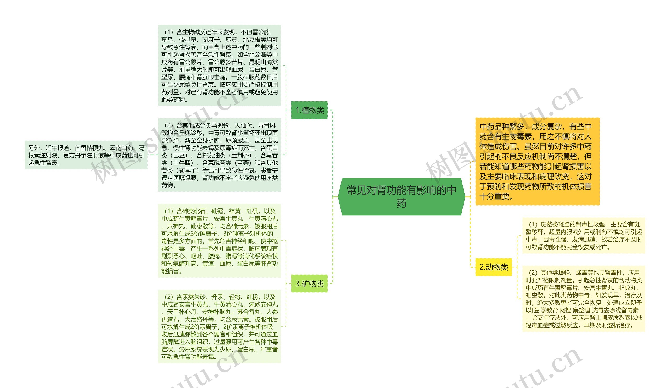 常见对肾功能有影响的中药思维导图